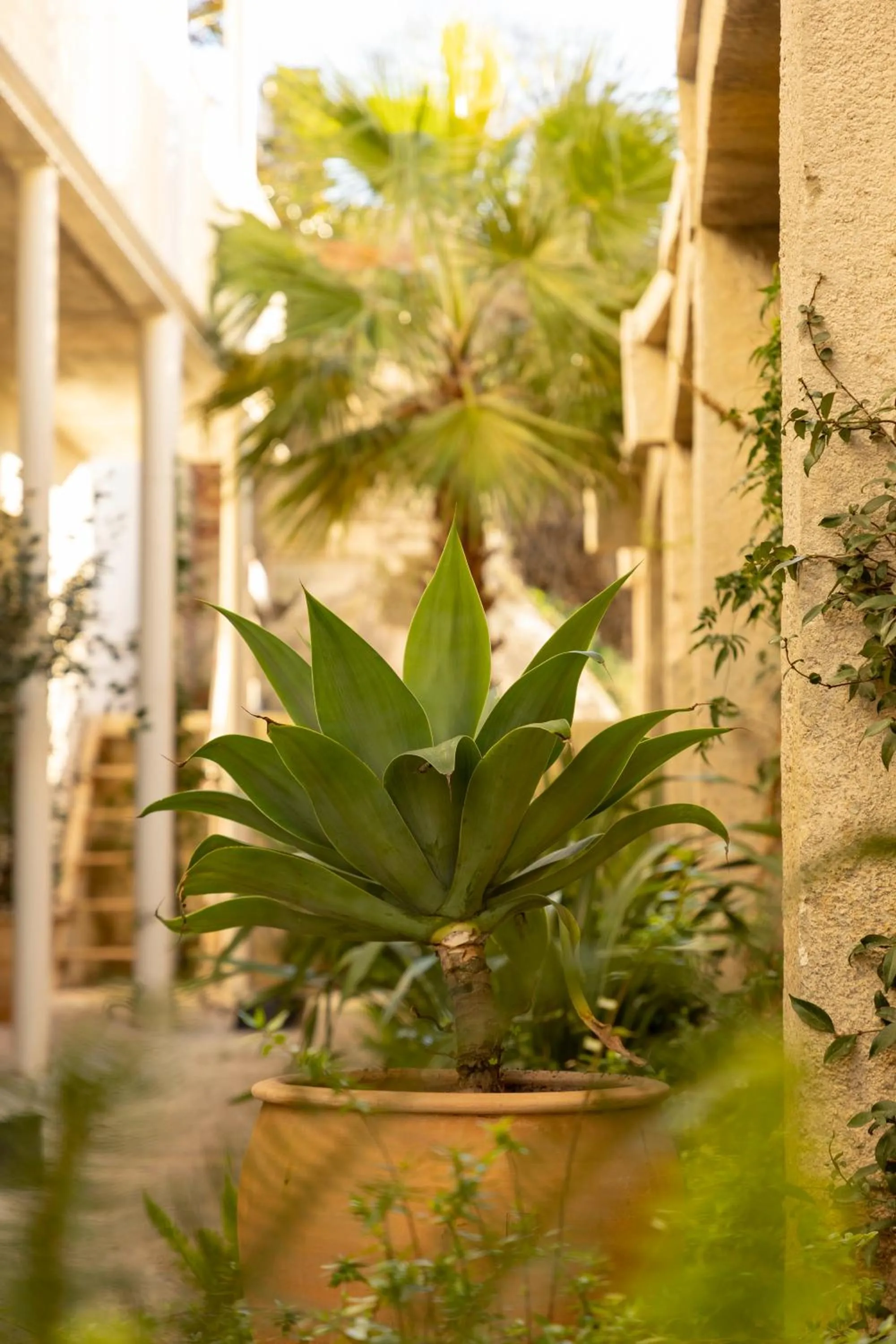 Garden in Pátio do Tijolo