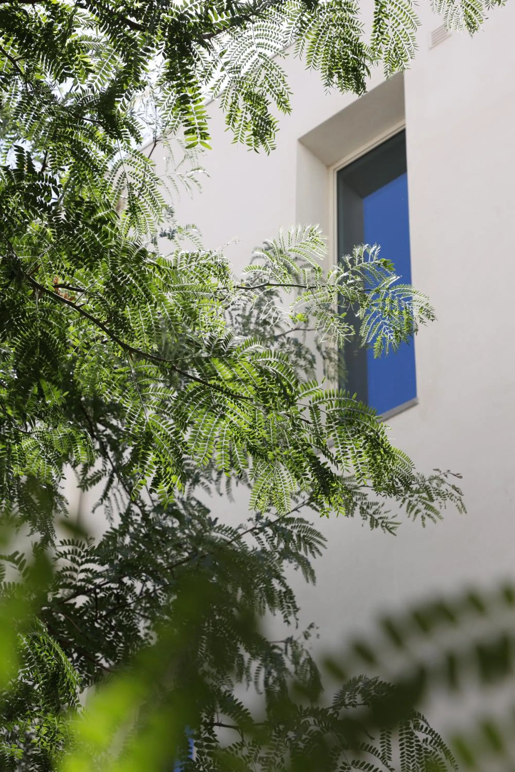 Garden view in Pátio do Tijolo