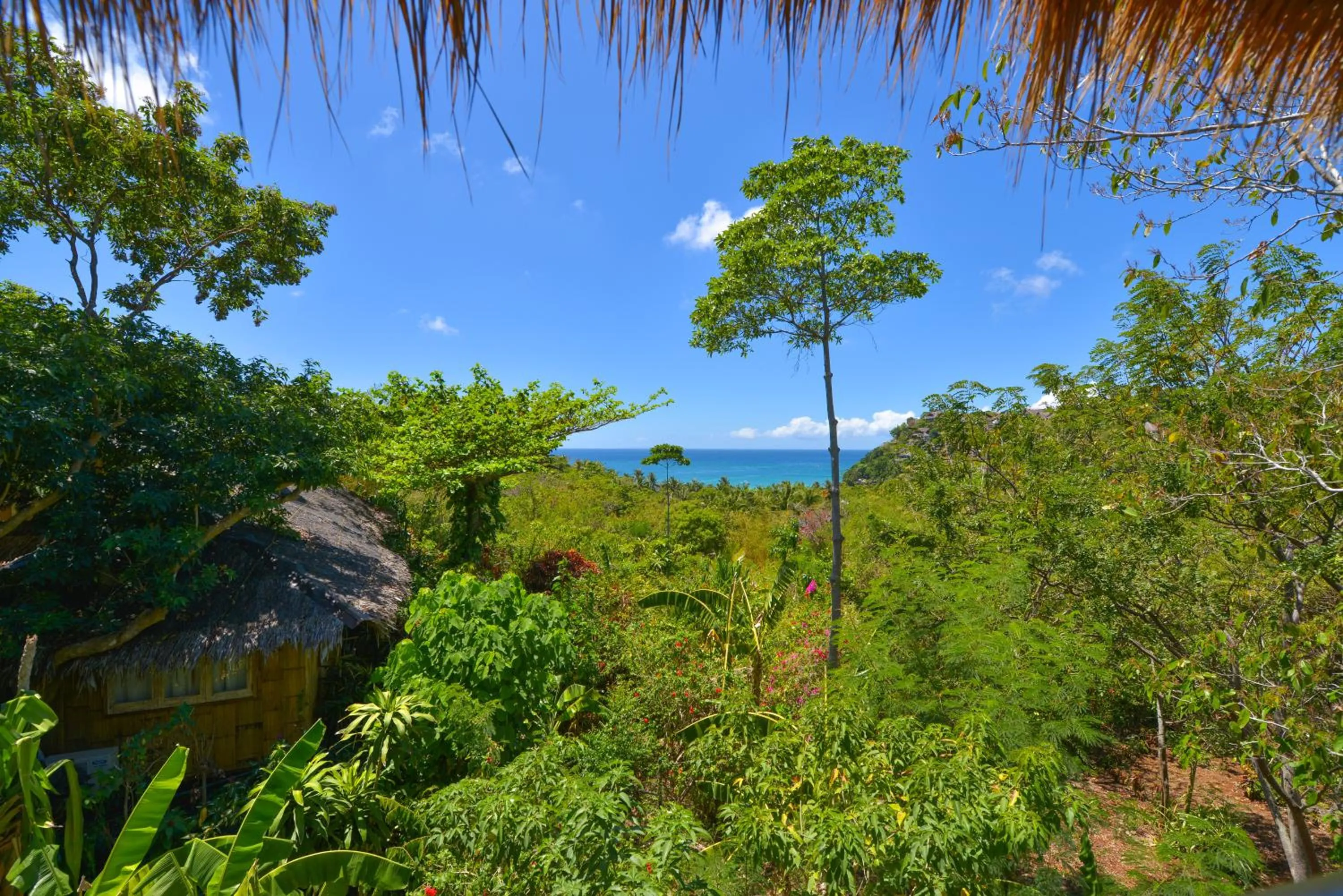 Garden view in Diniview Villa Resort