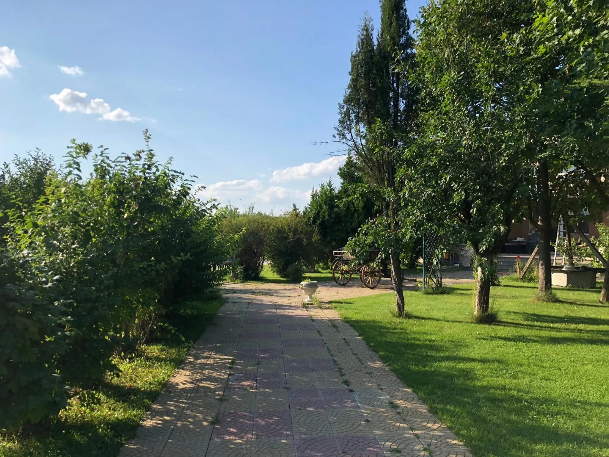 Autumn in Galeria In The Garden