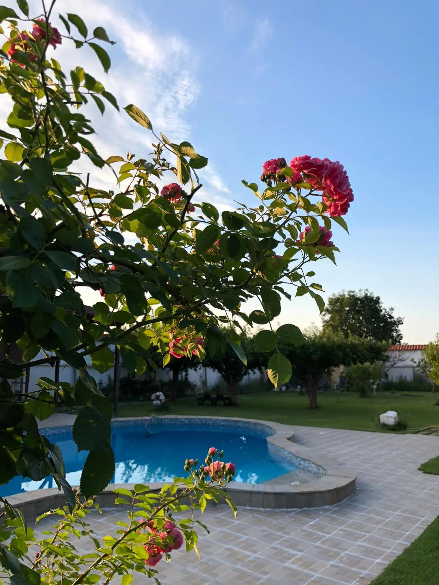 Garden in Galeria In The Garden