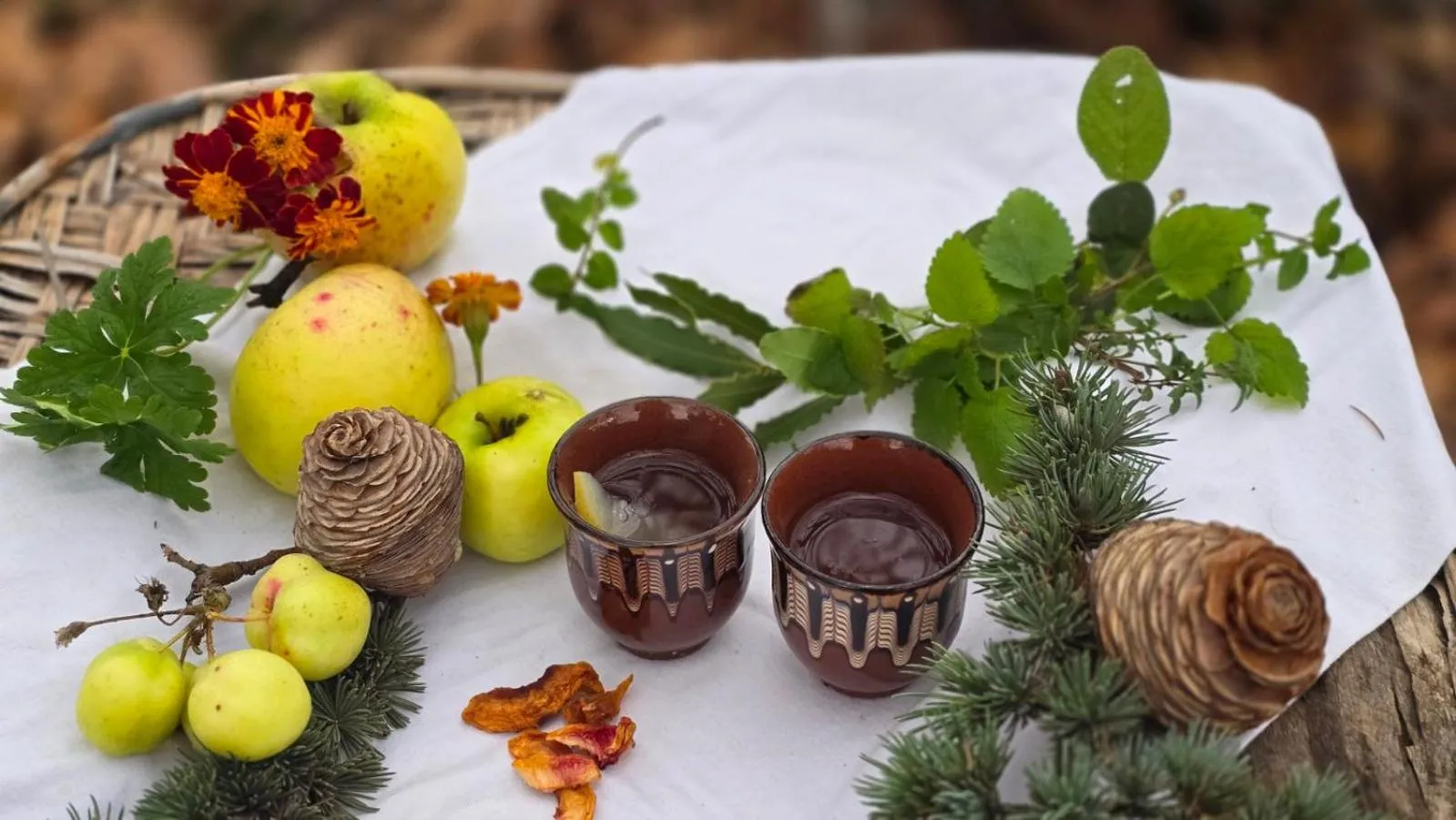 Galeria In The Garden