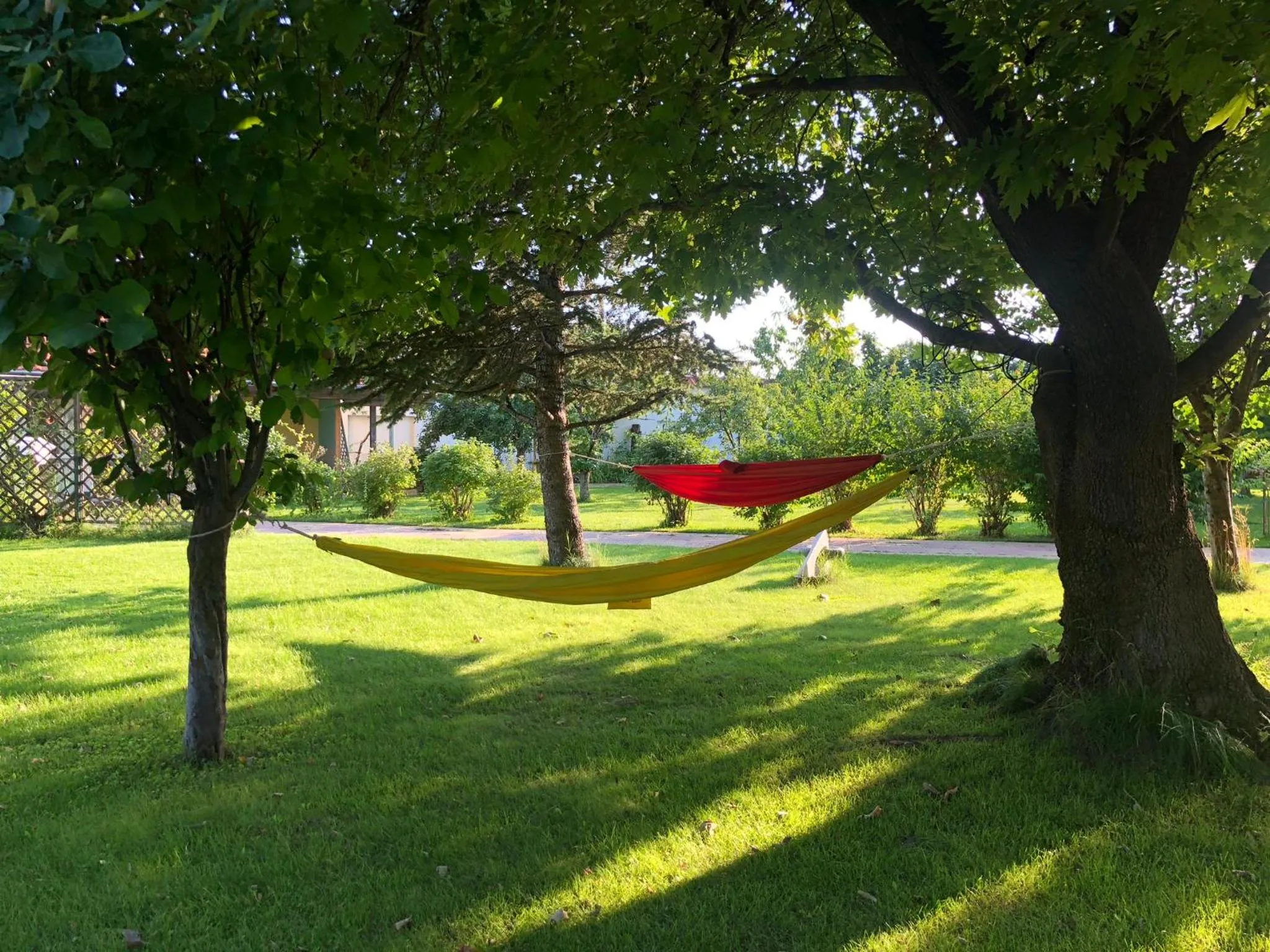 Summer in Galeria In The Garden