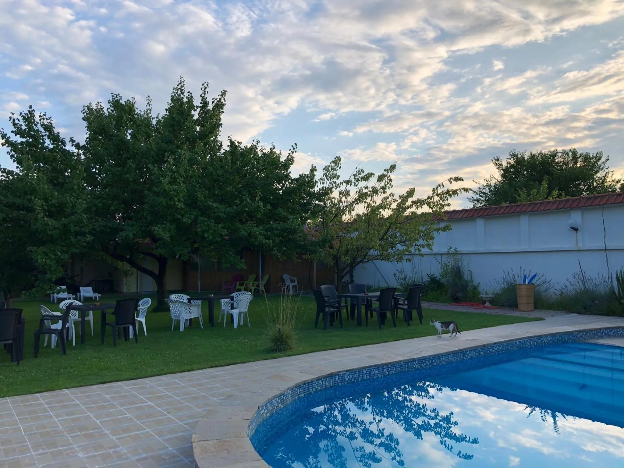 Galeria In The Garden