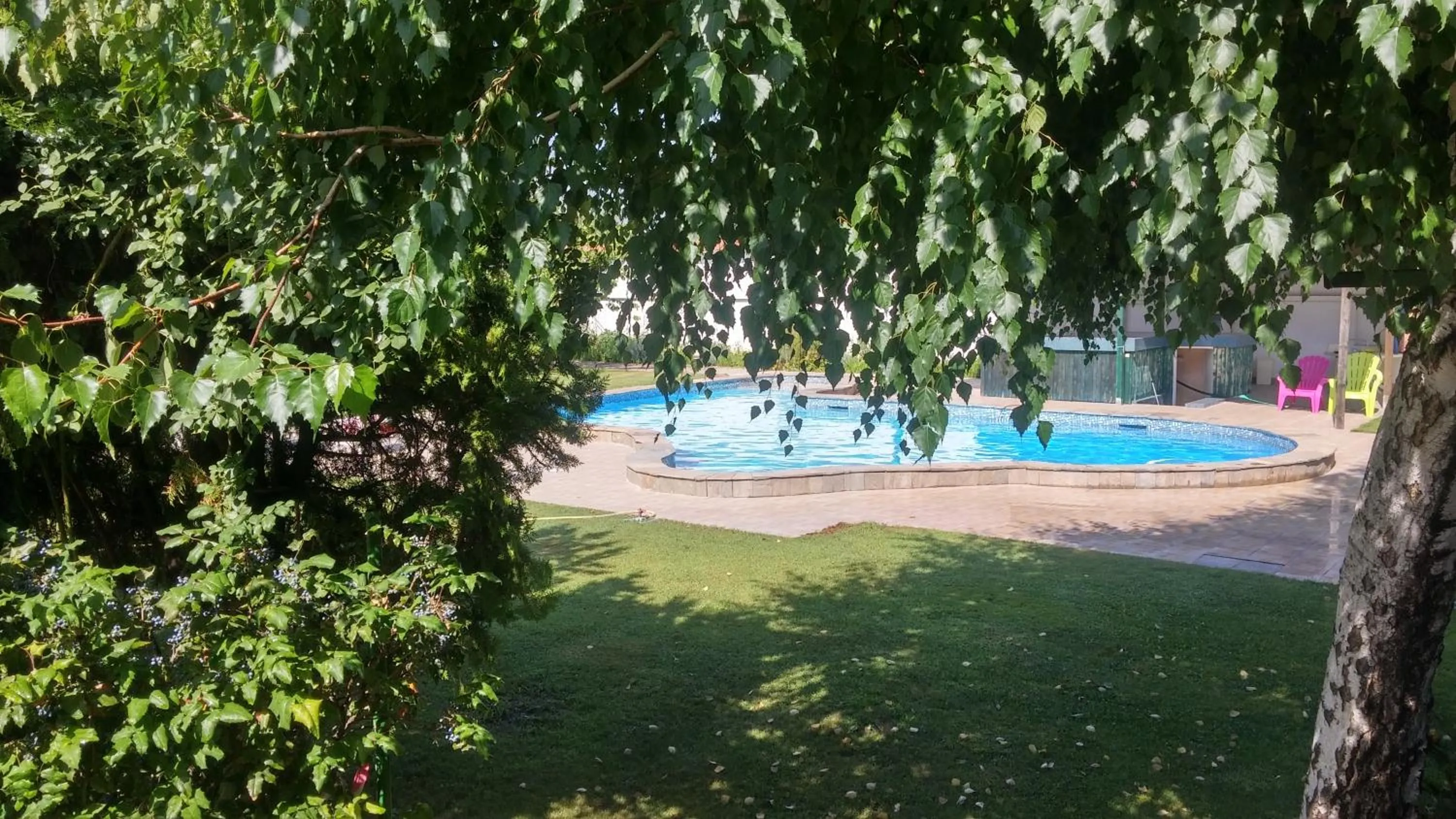 Garden in Galeria In The Garden