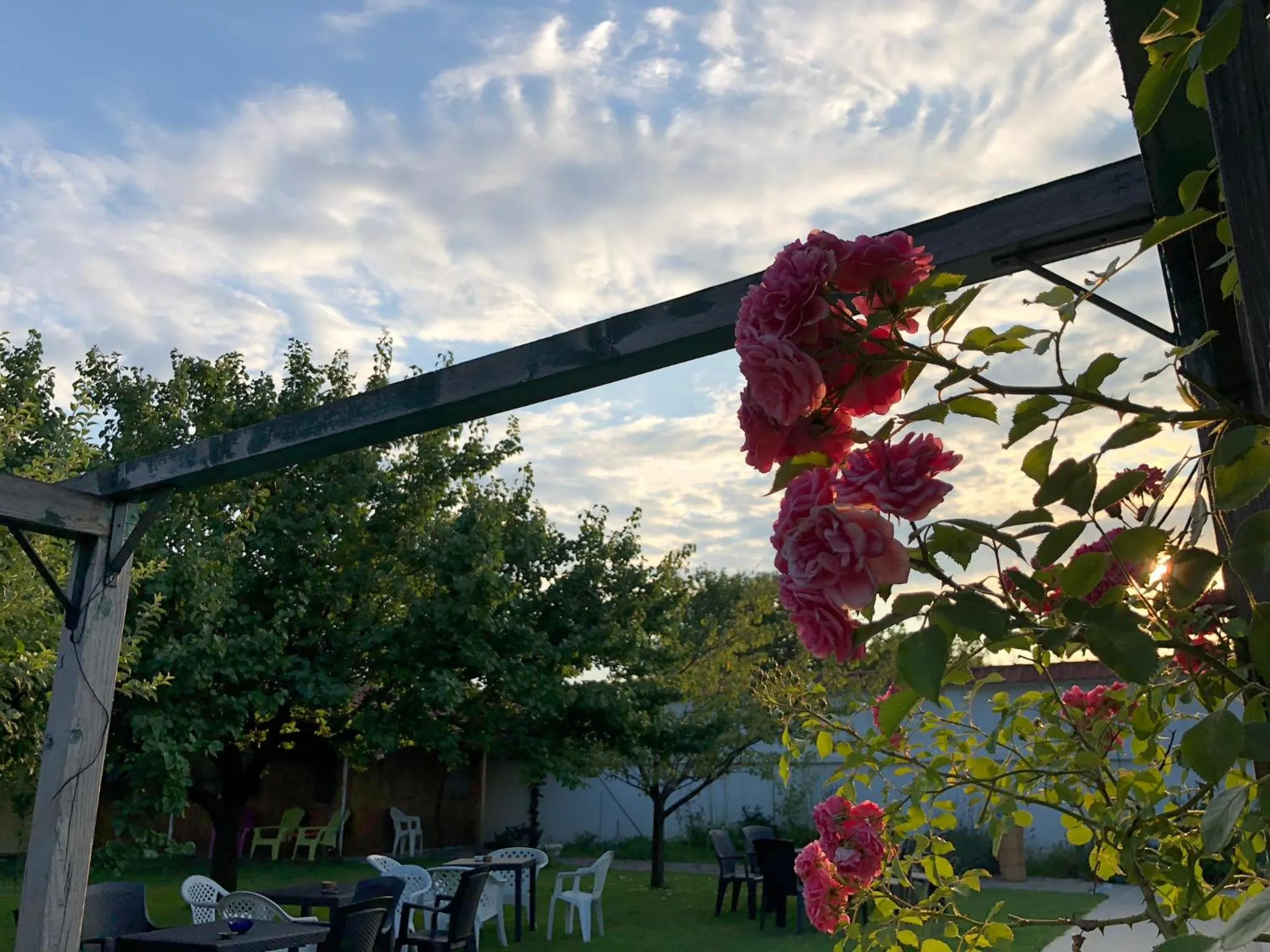 Other in Galeria In The Garden