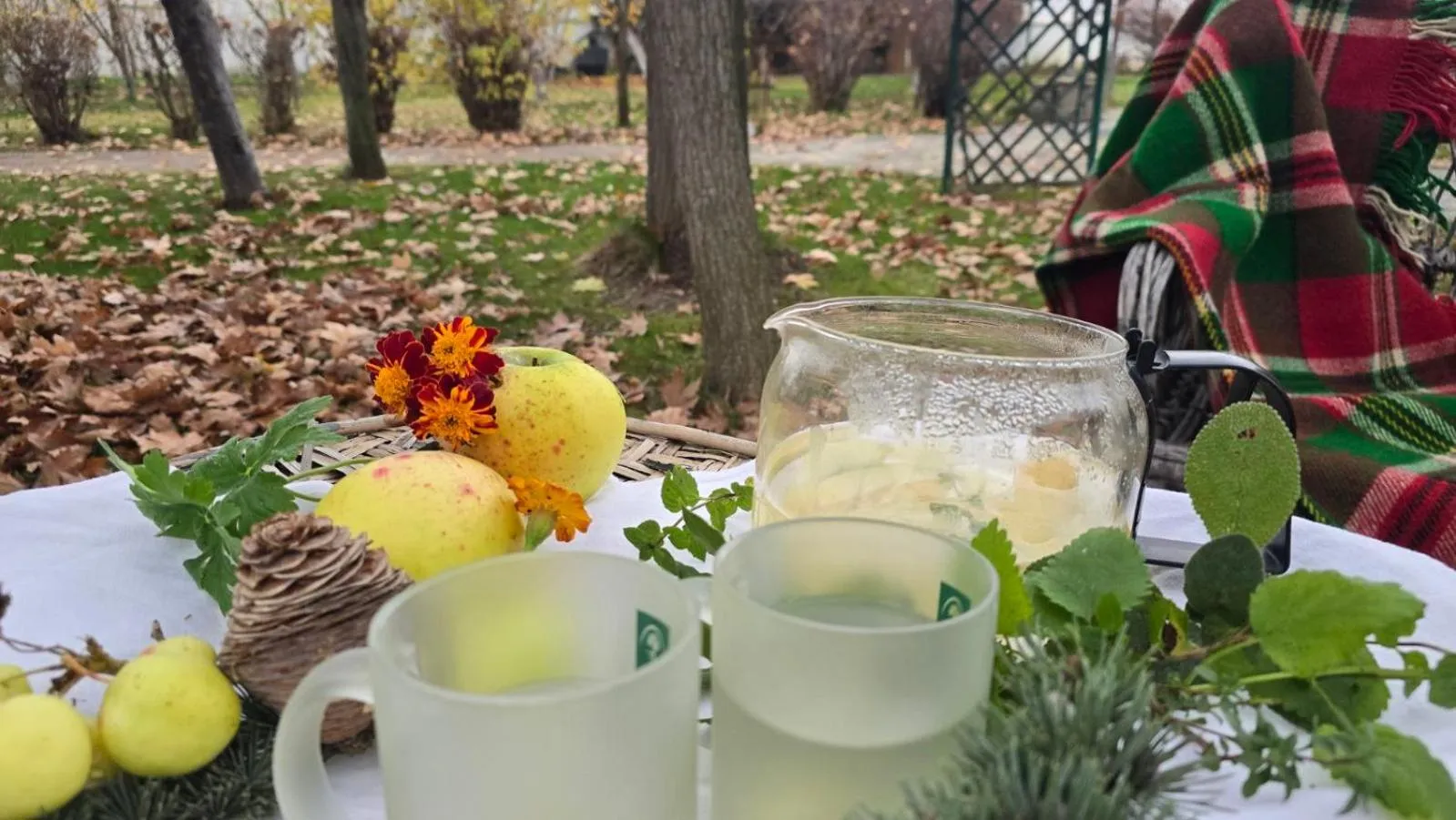 Galeria In The Garden