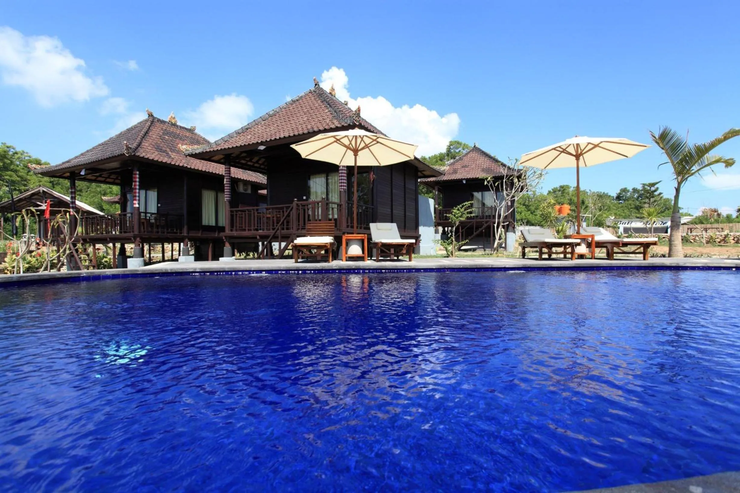Swimming pool in Bali Belva