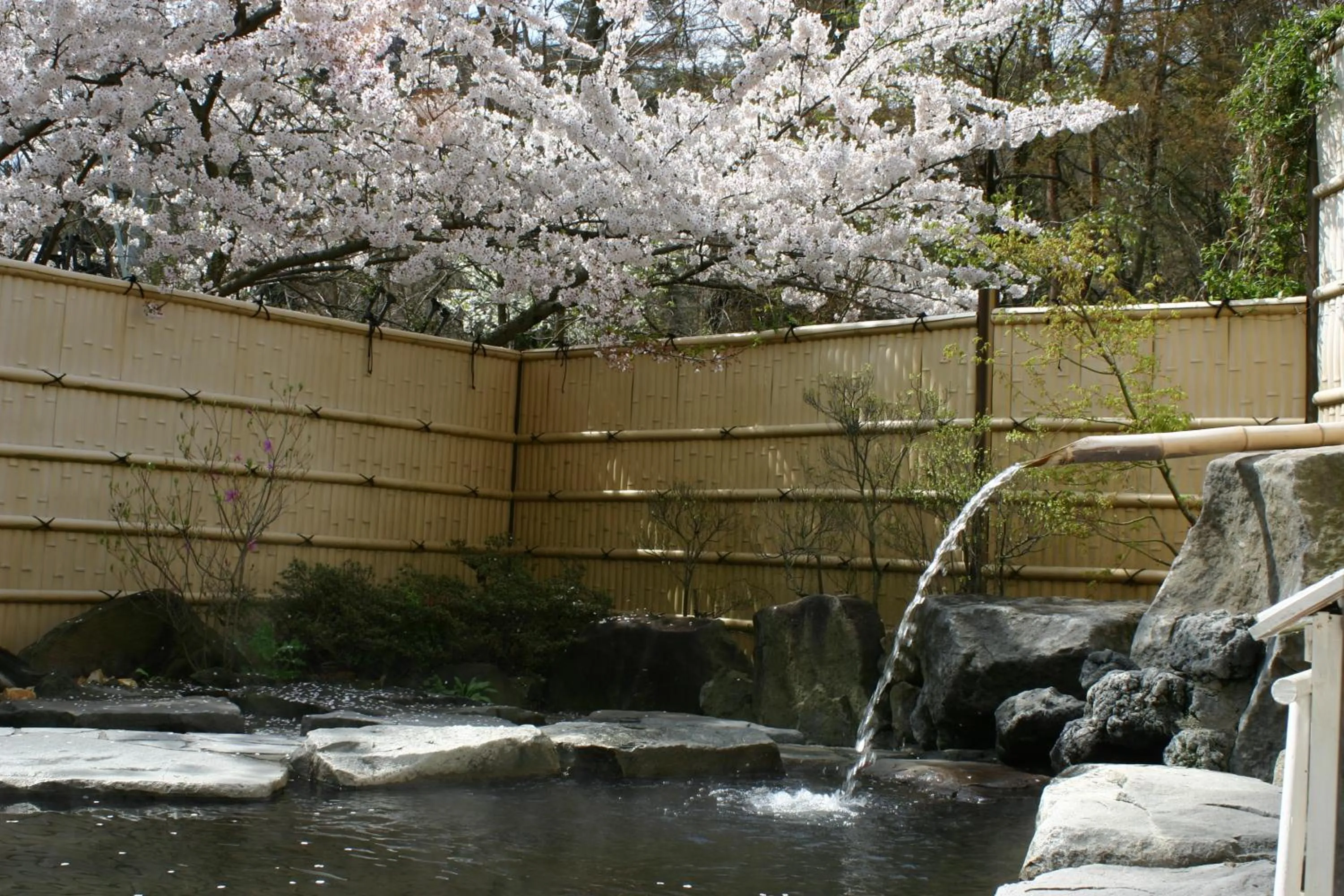 Hot Spring Bath in Shosenkaku