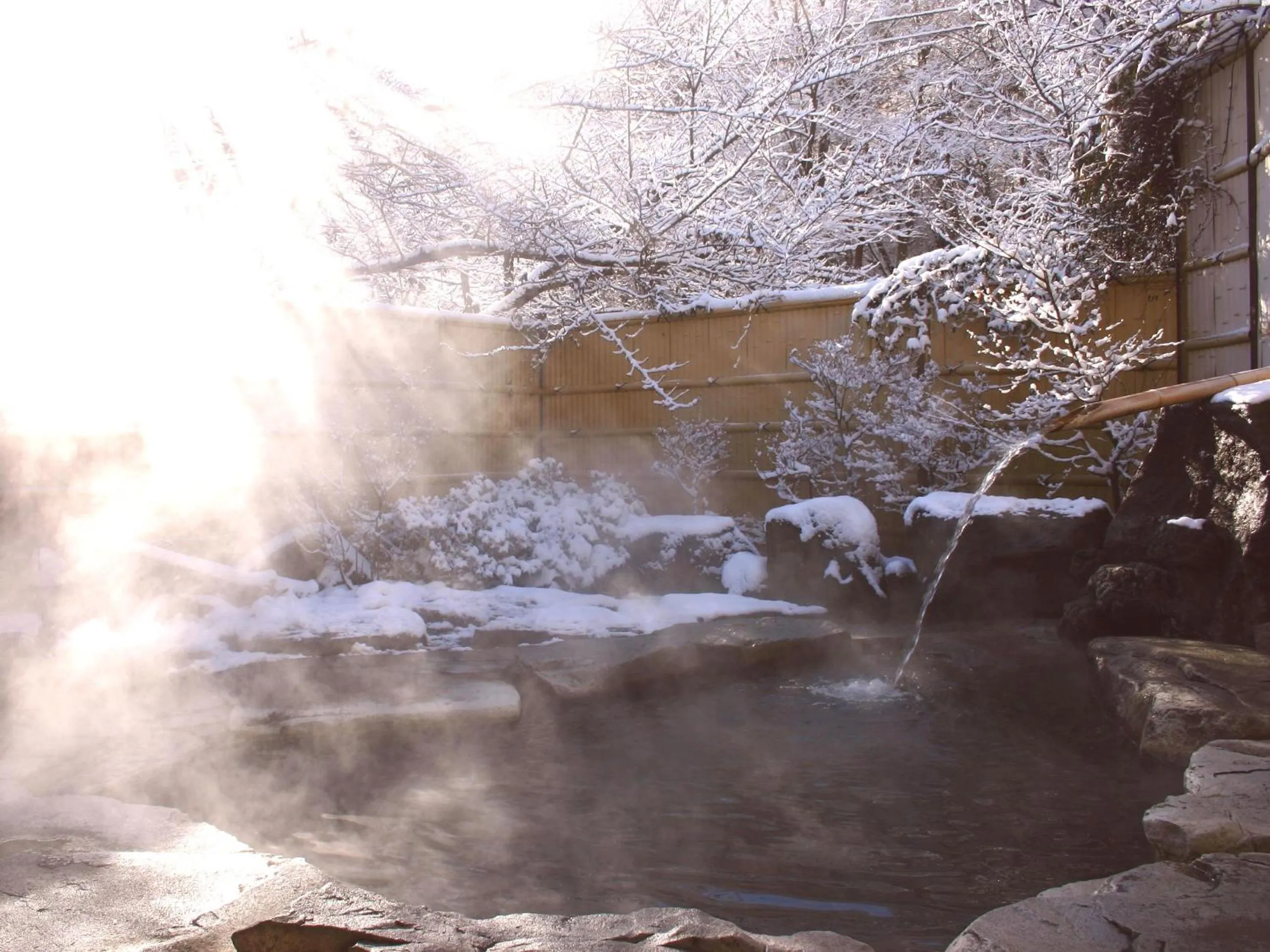 Hot Spring Bath in Shosenkaku