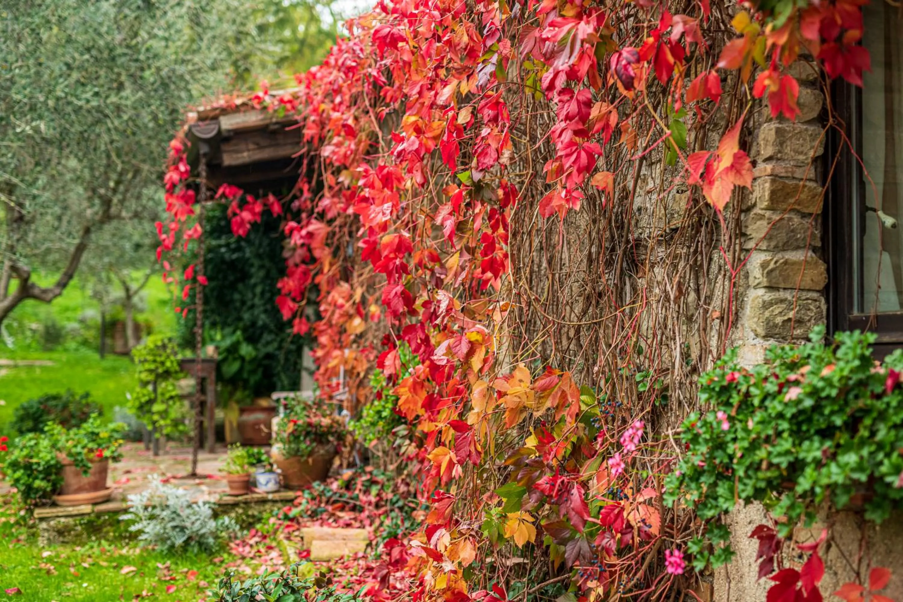 Property building in Le Bumbarelle
