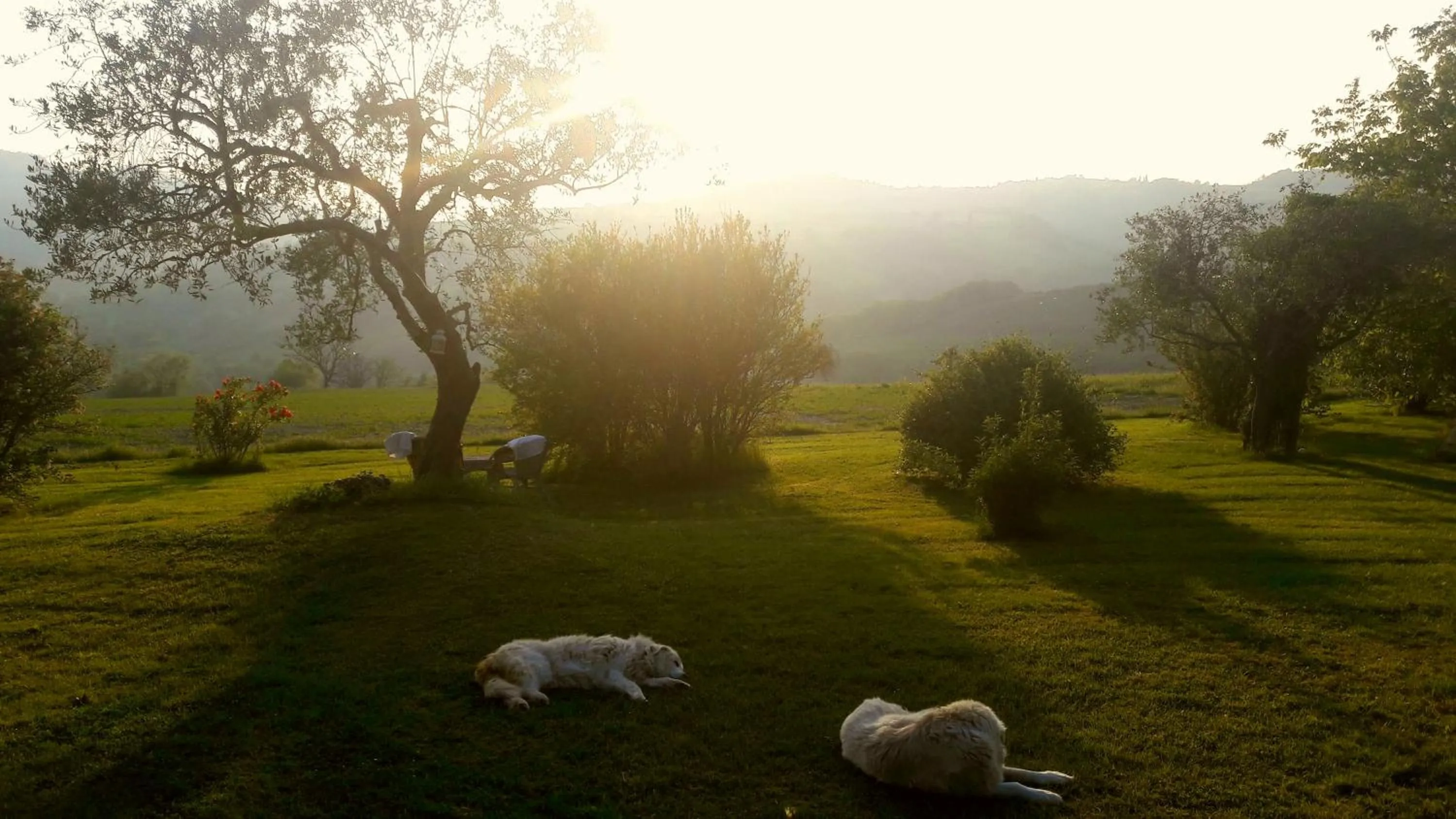 Garden in Le Bumbarelle