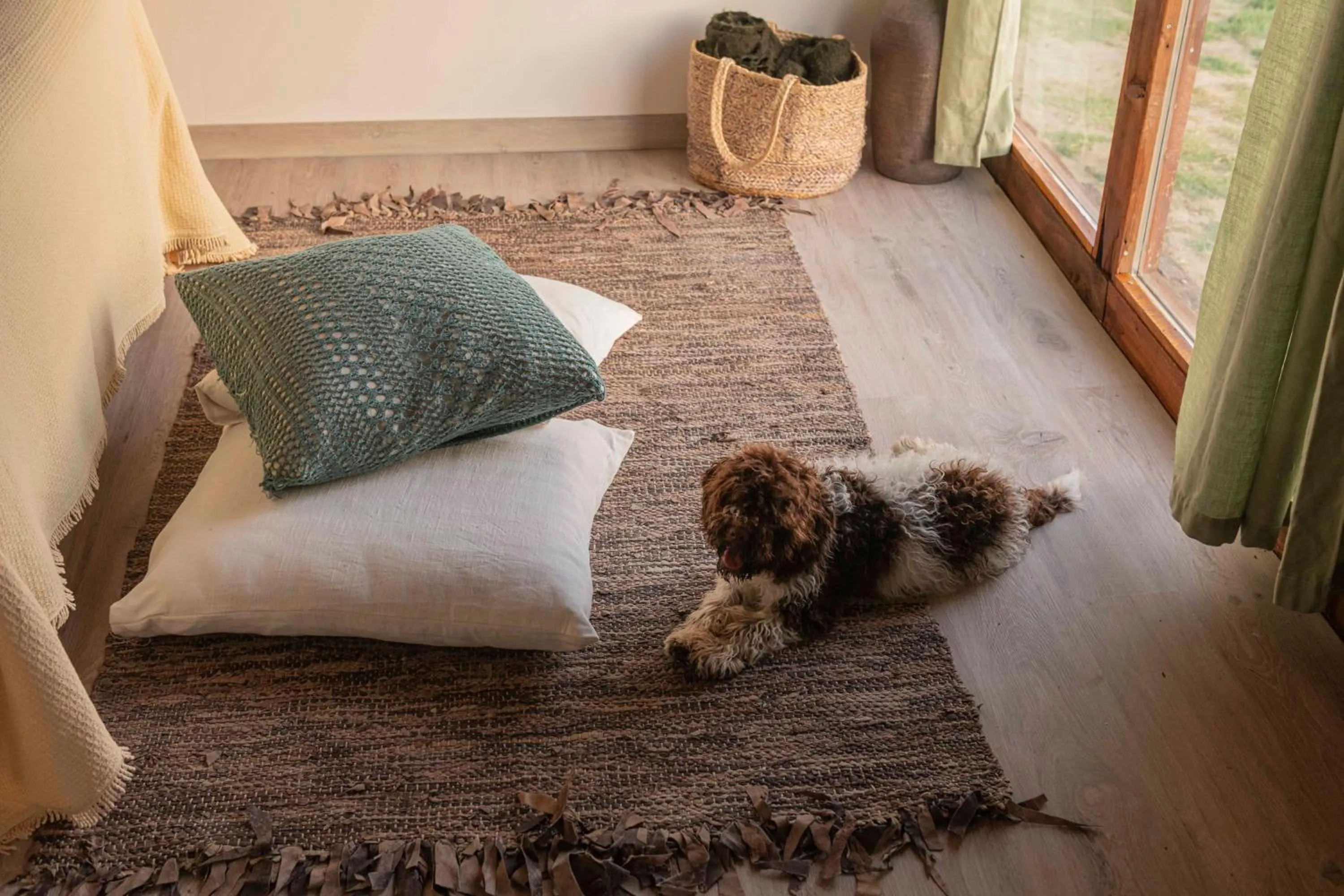 Photo of the whole room in Le Bumbarelle