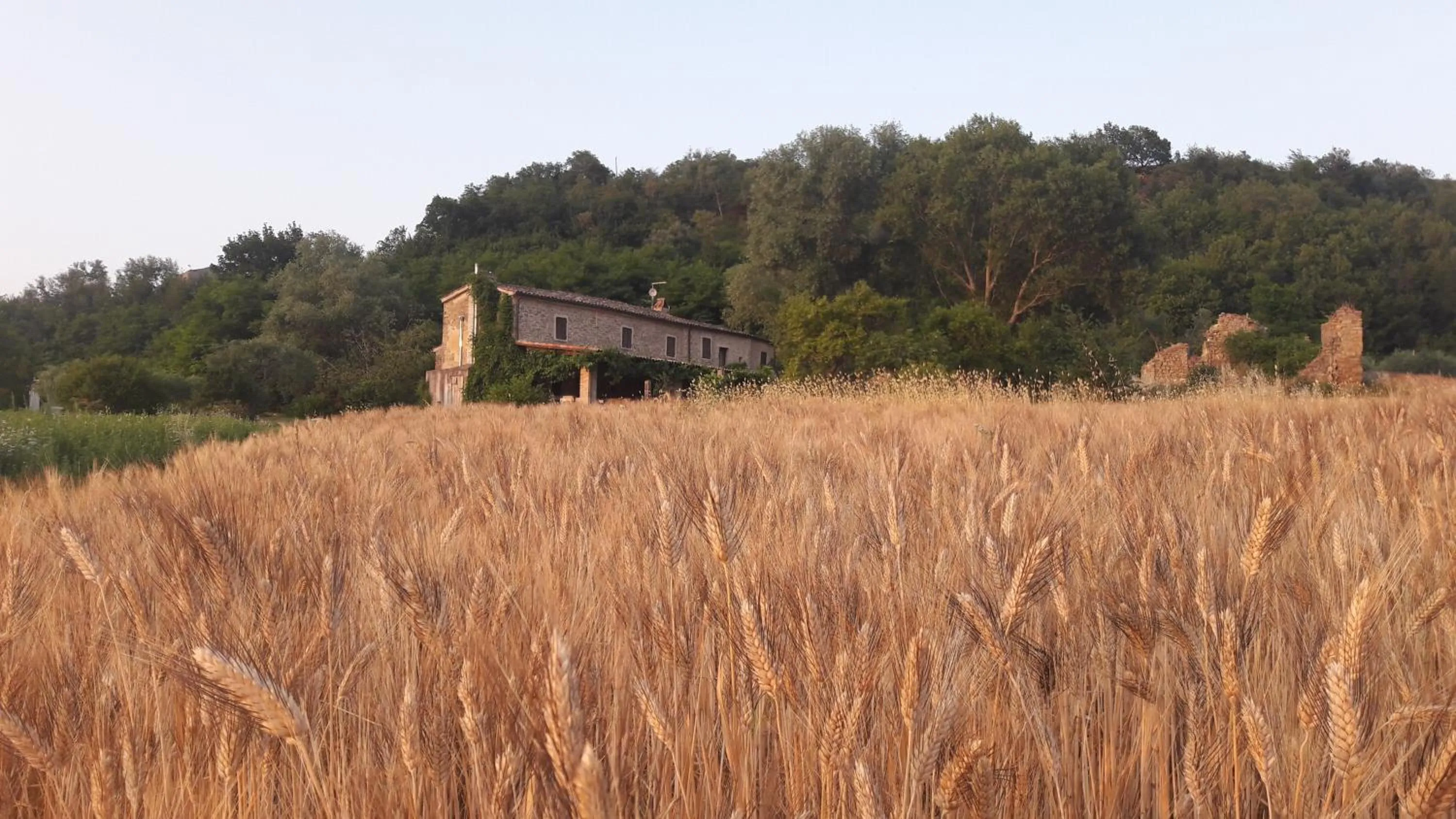 Natural landscape in Le Bumbarelle