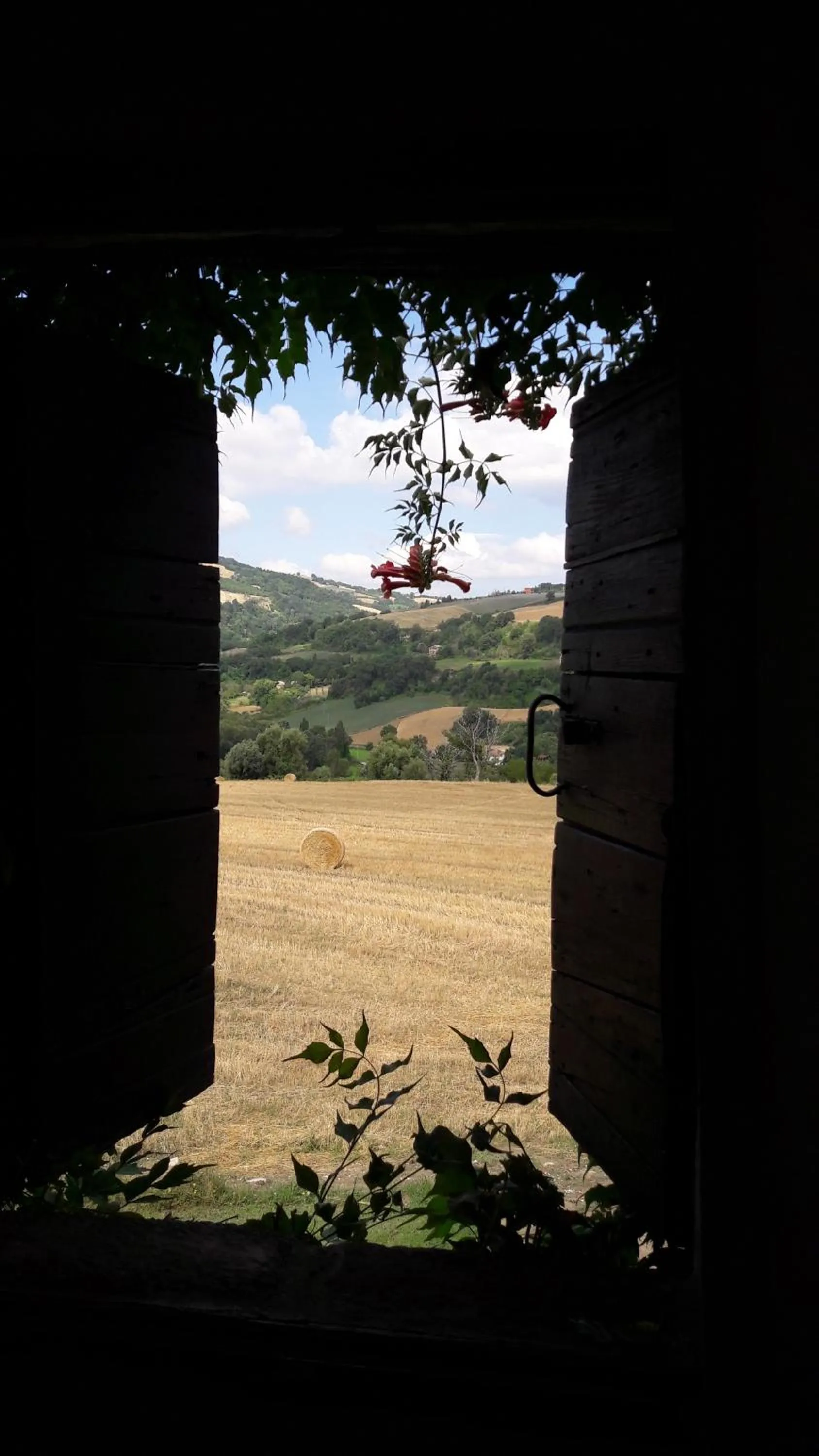 Garden view in Le Bumbarelle