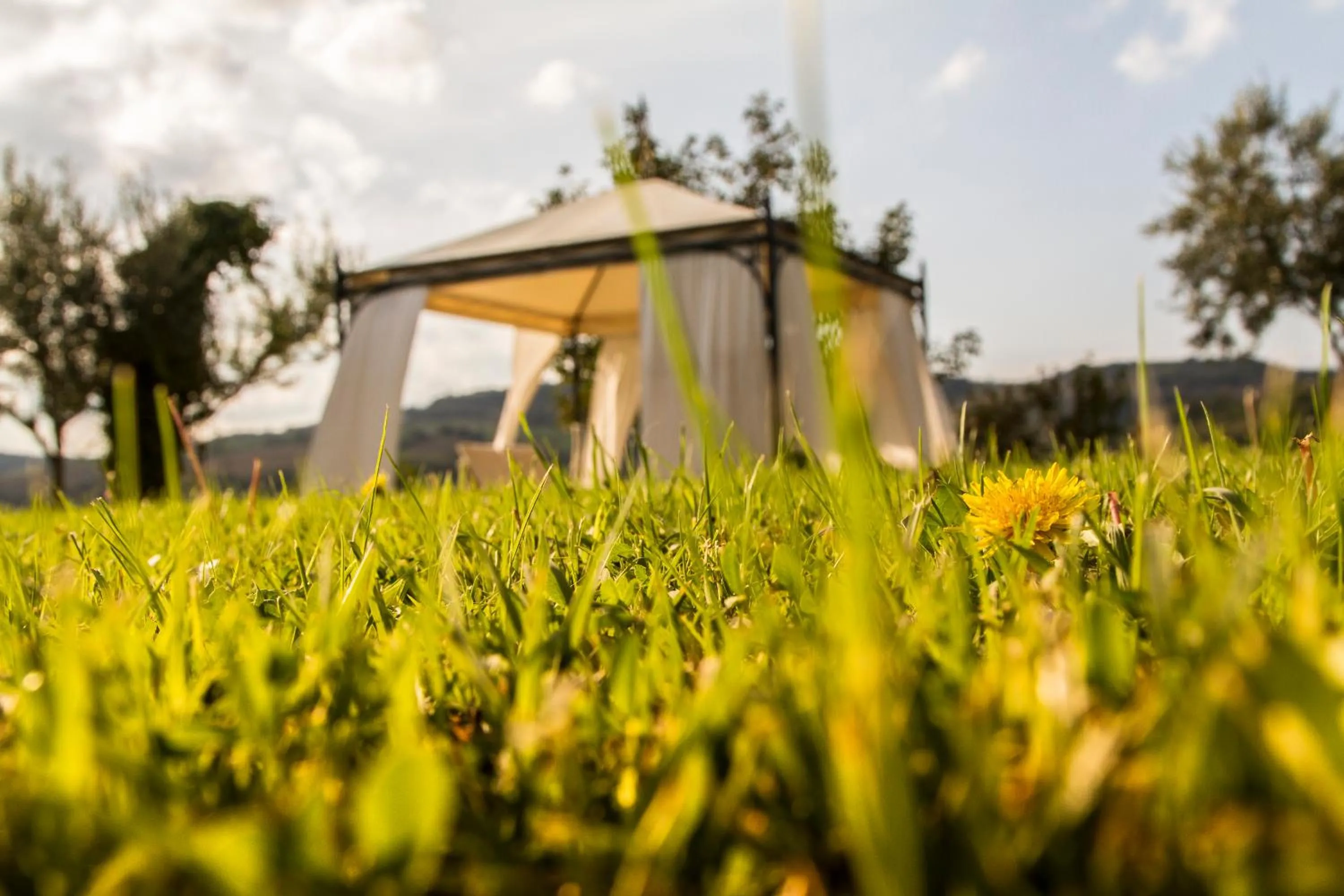 Garden in Le Bumbarelle