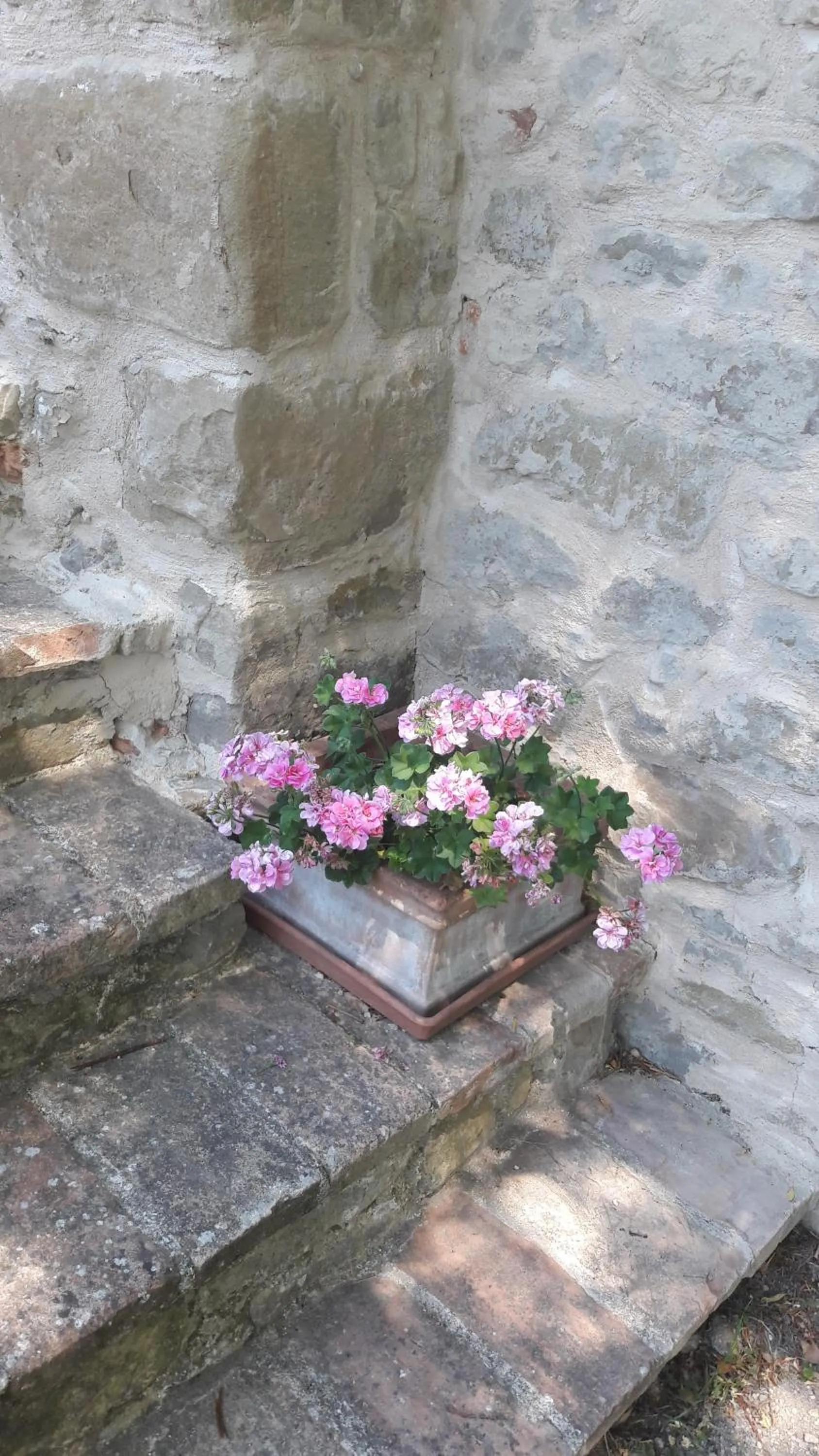 Floor plan in Le Bumbarelle