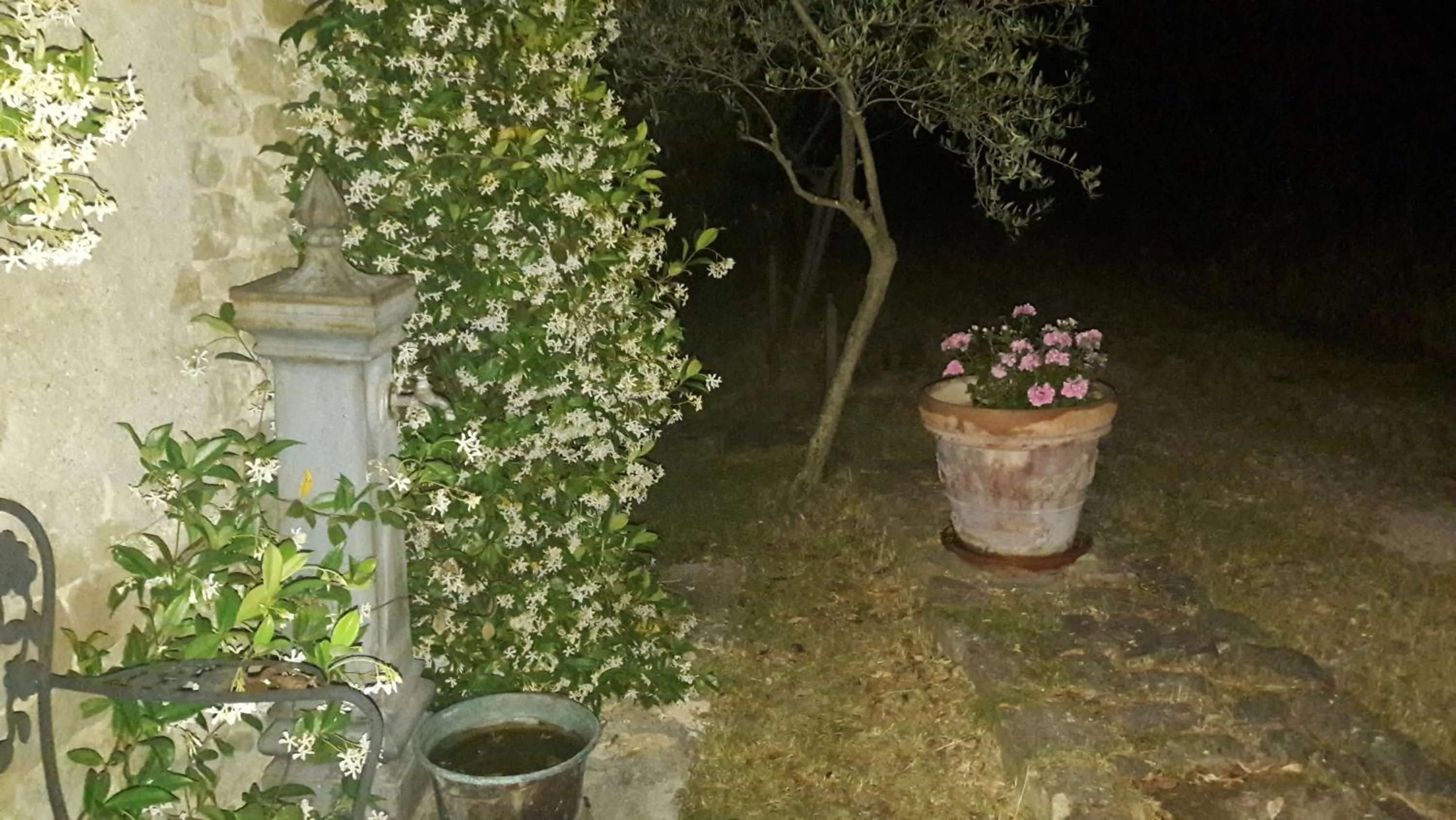 Garden in Le Bumbarelle