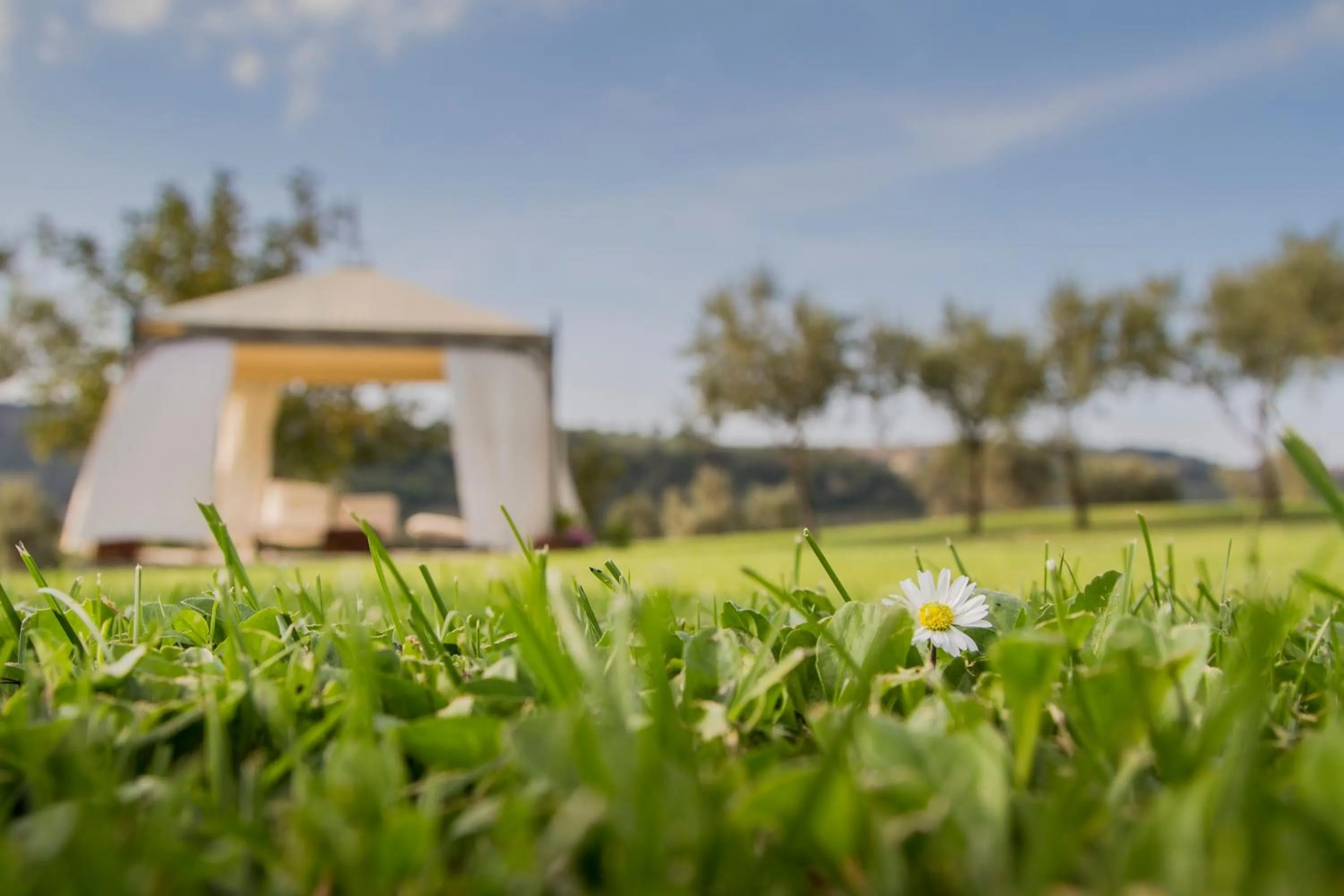 Garden in Le Bumbarelle