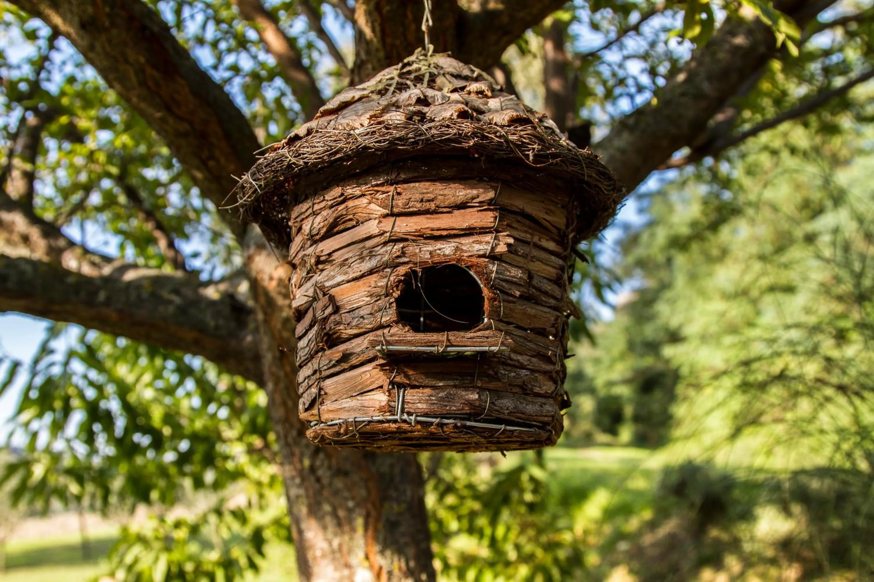 Garden in Le Bumbarelle