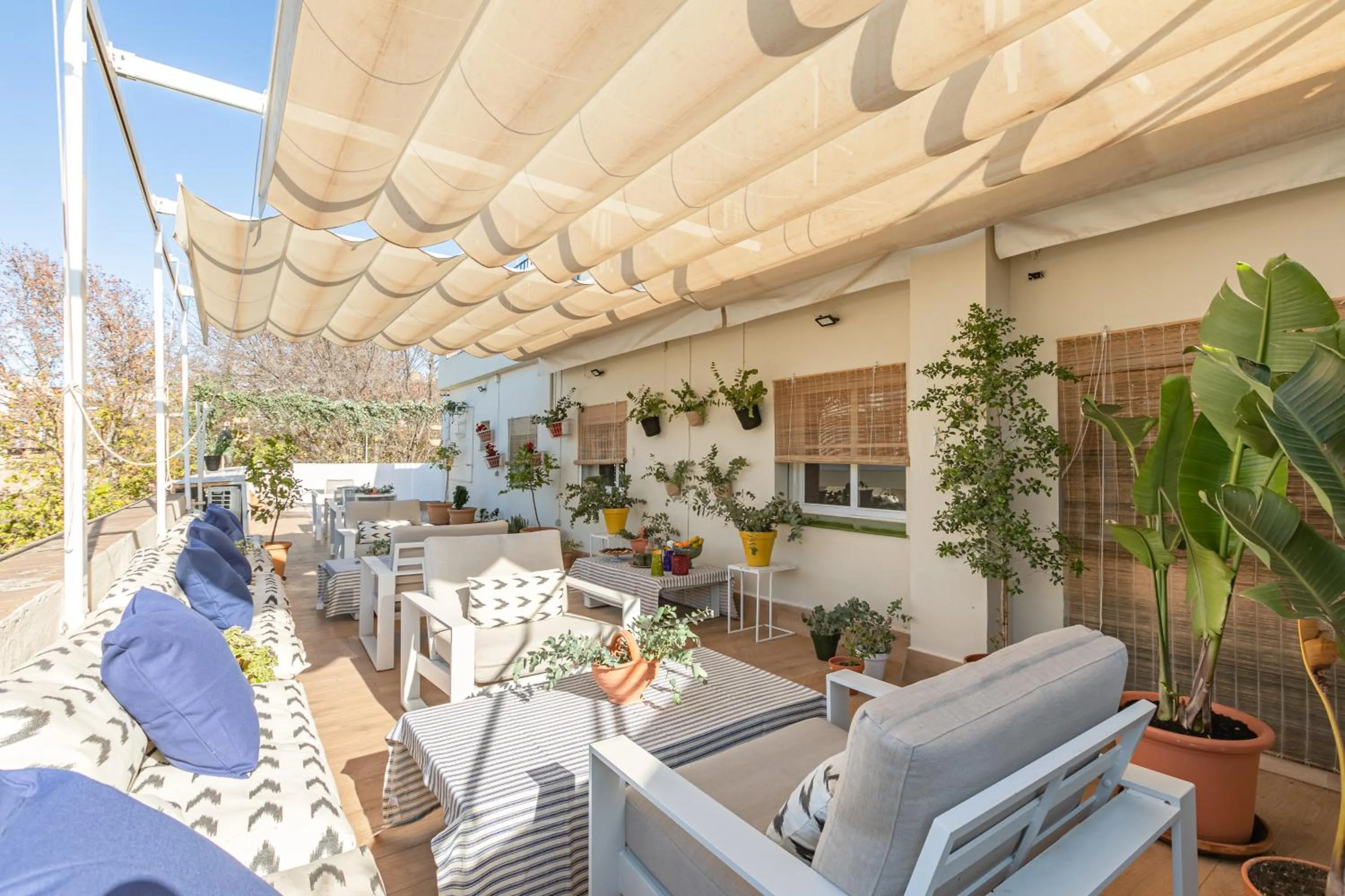 Property building in nüa alameda