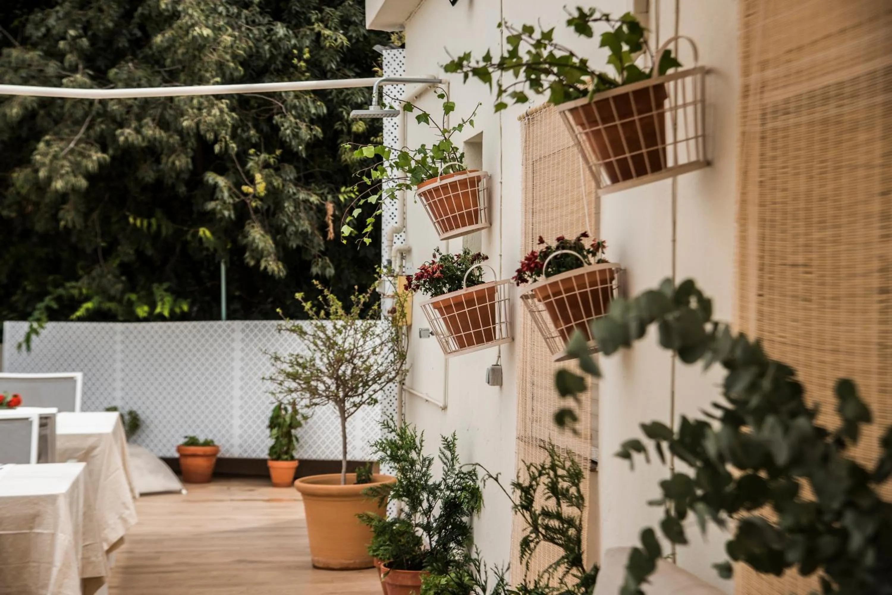 Off site in nüa alameda