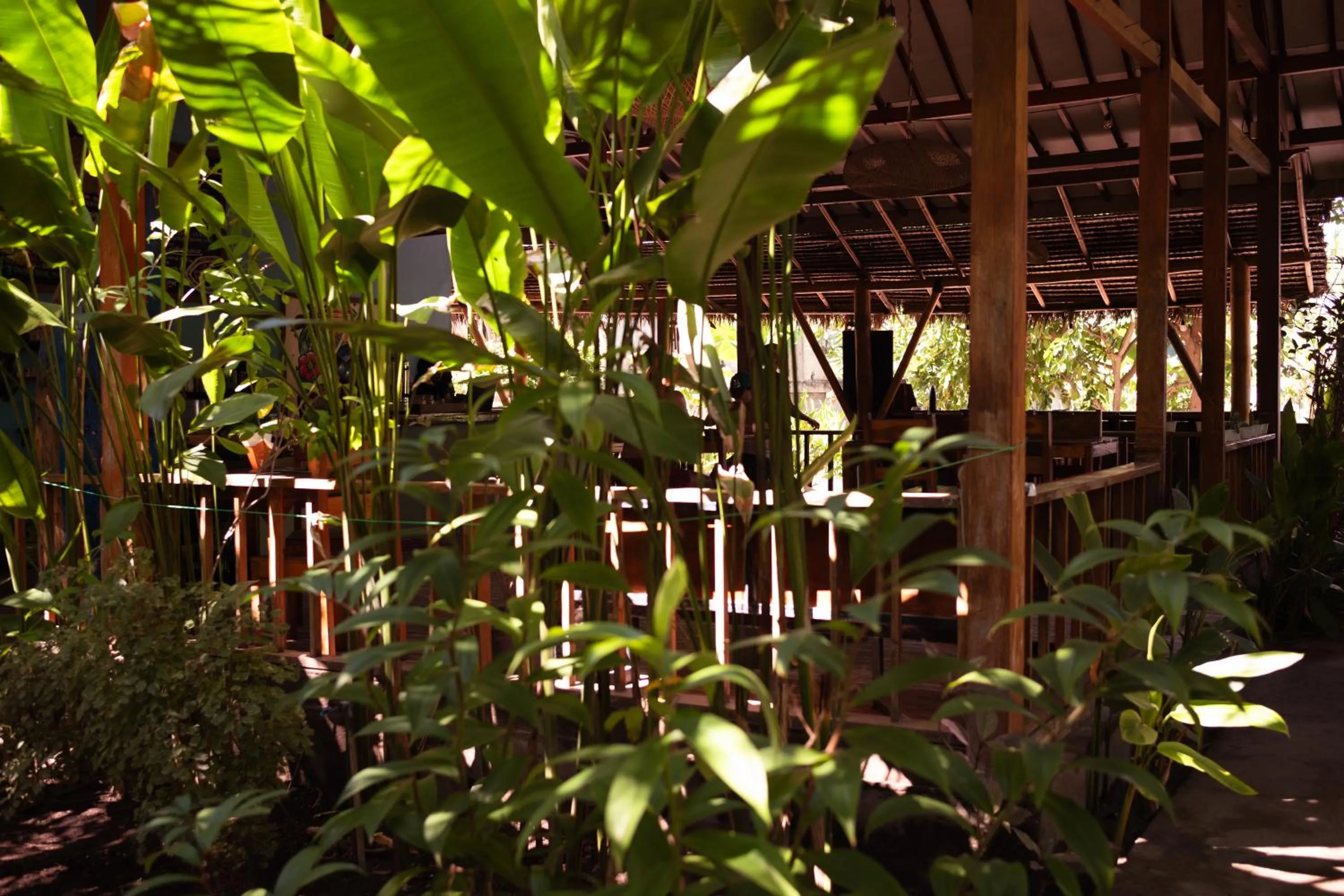 Garden in Florine's Garden