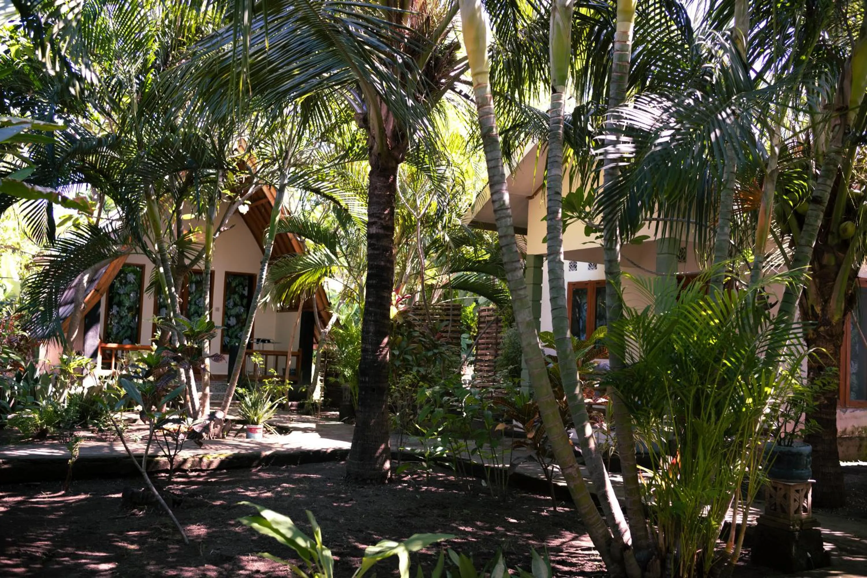 Garden view in Florine's Garden