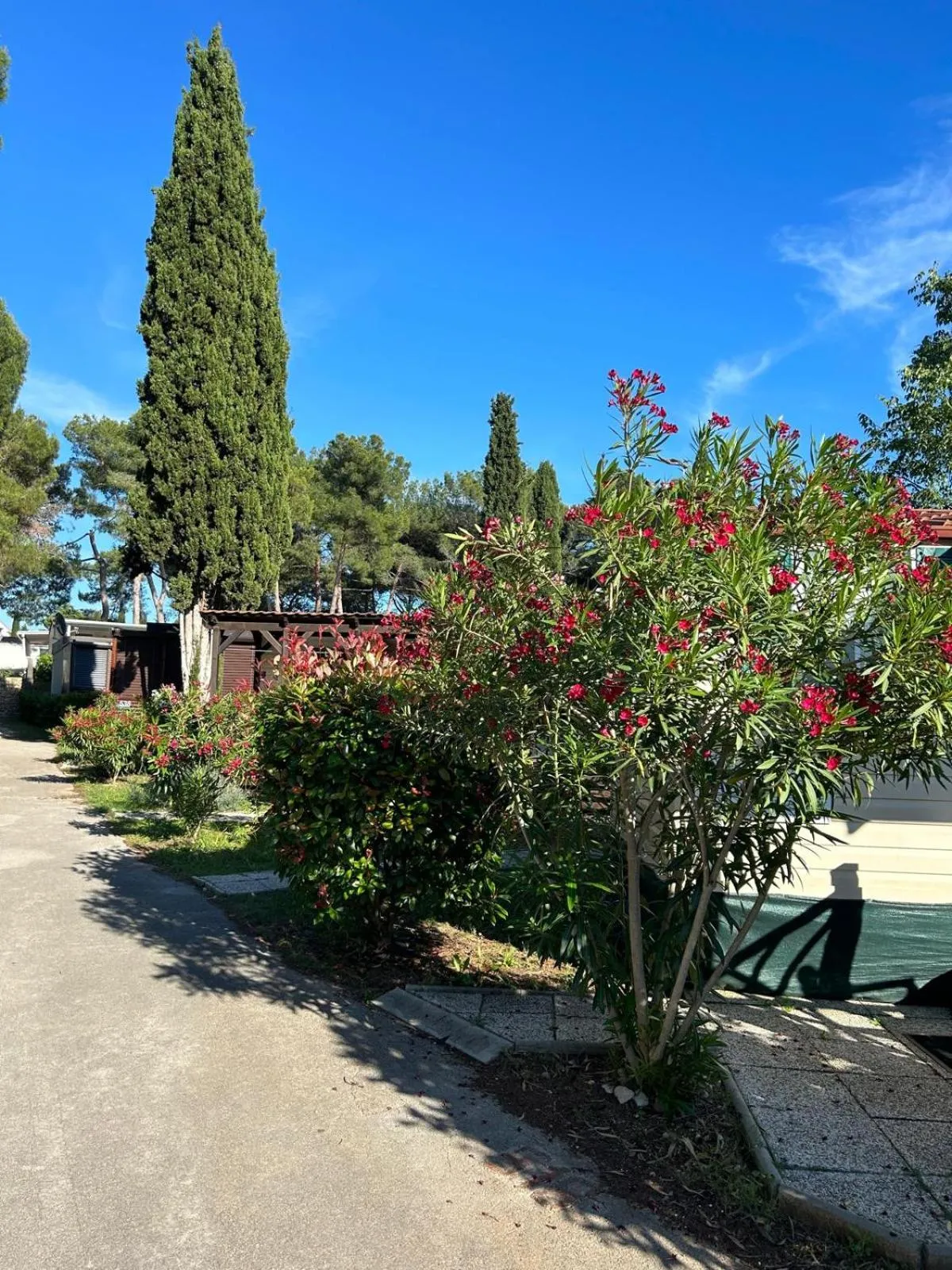 Camping Media Mobile Homes in Brioni Sunny Camping