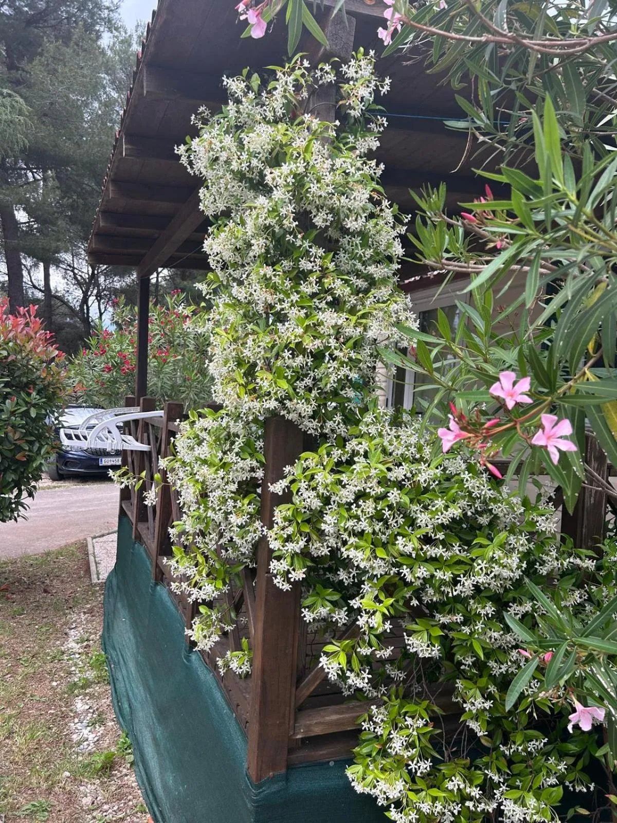 Camping Media Mobile Homes in Brioni Sunny Camping