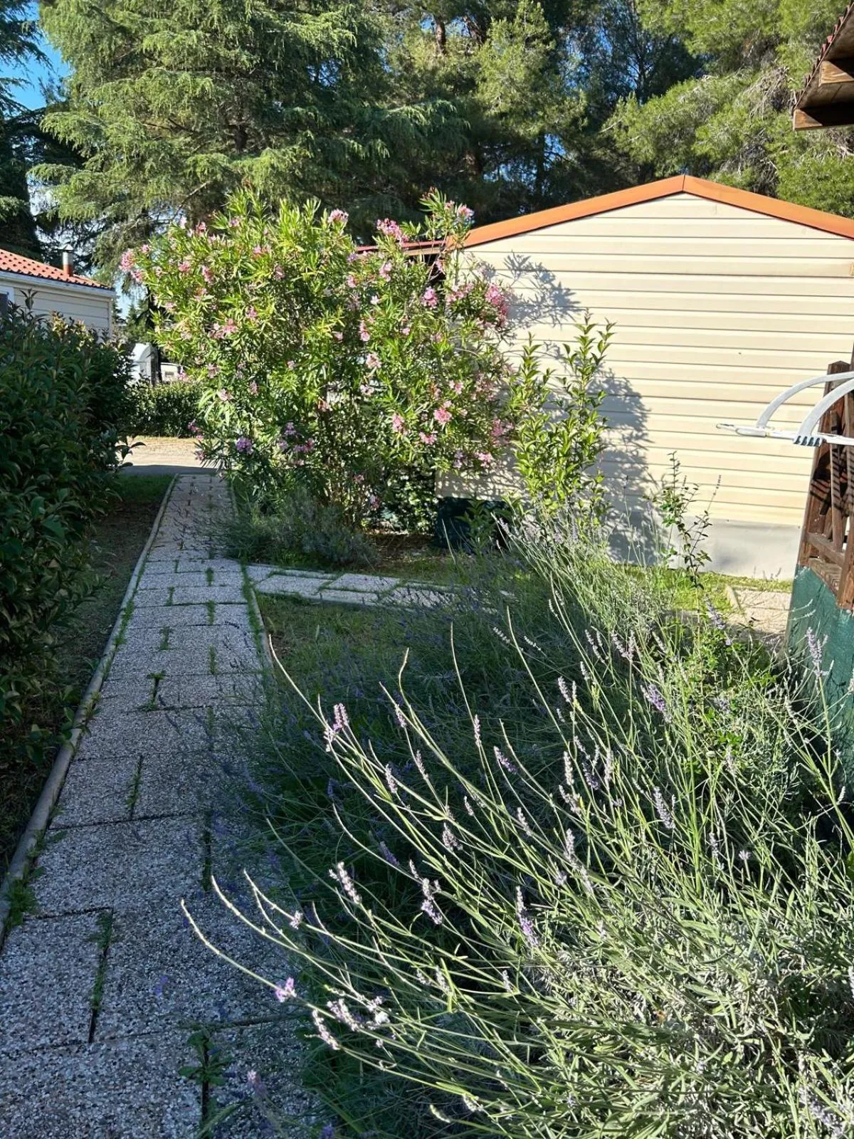 Camping Media Mobile Homes in Brioni Sunny Camping