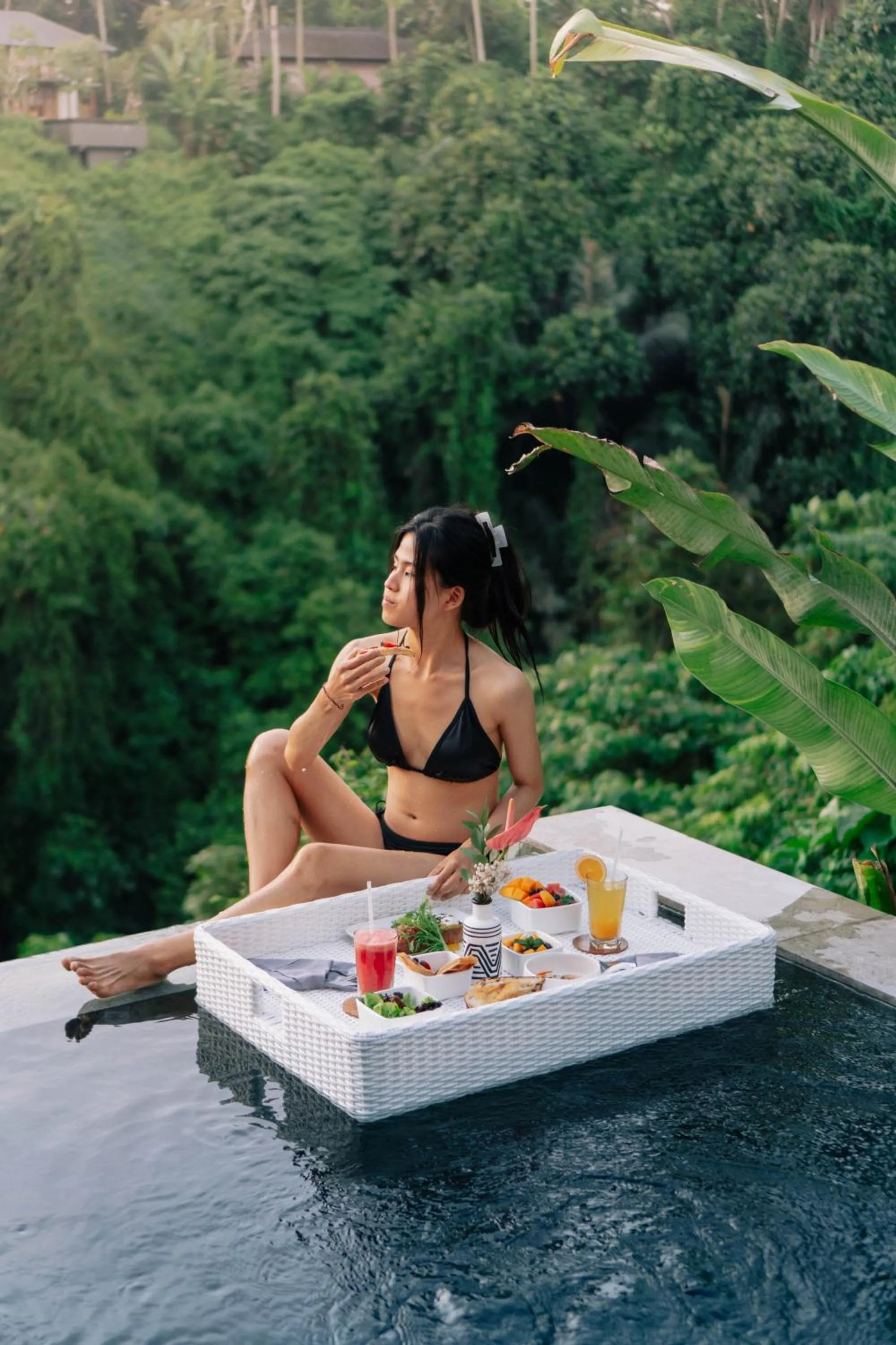 Spring in Magical Jungle Resort