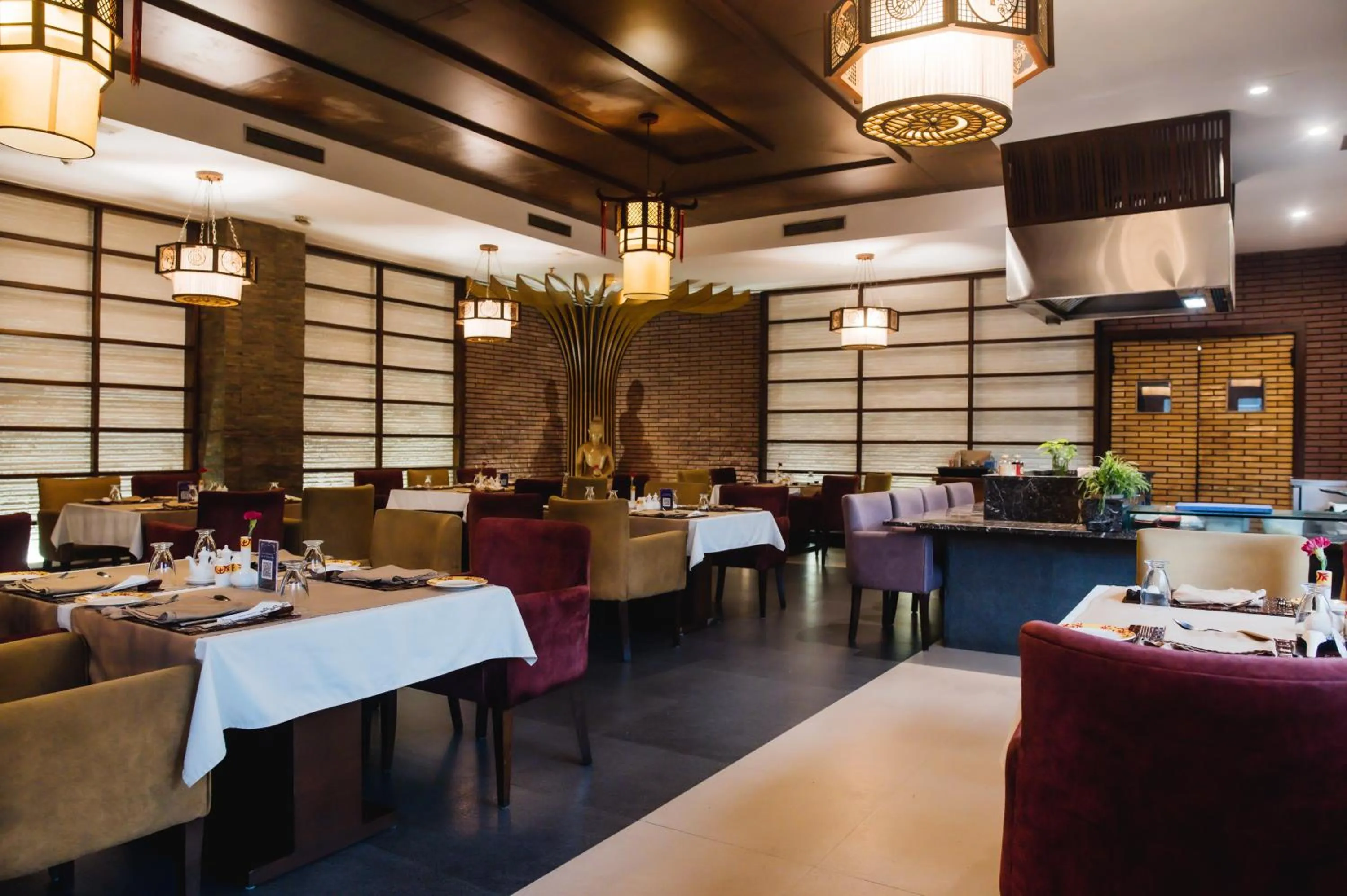 Restaurant/places to eat in The Alcor Hotel