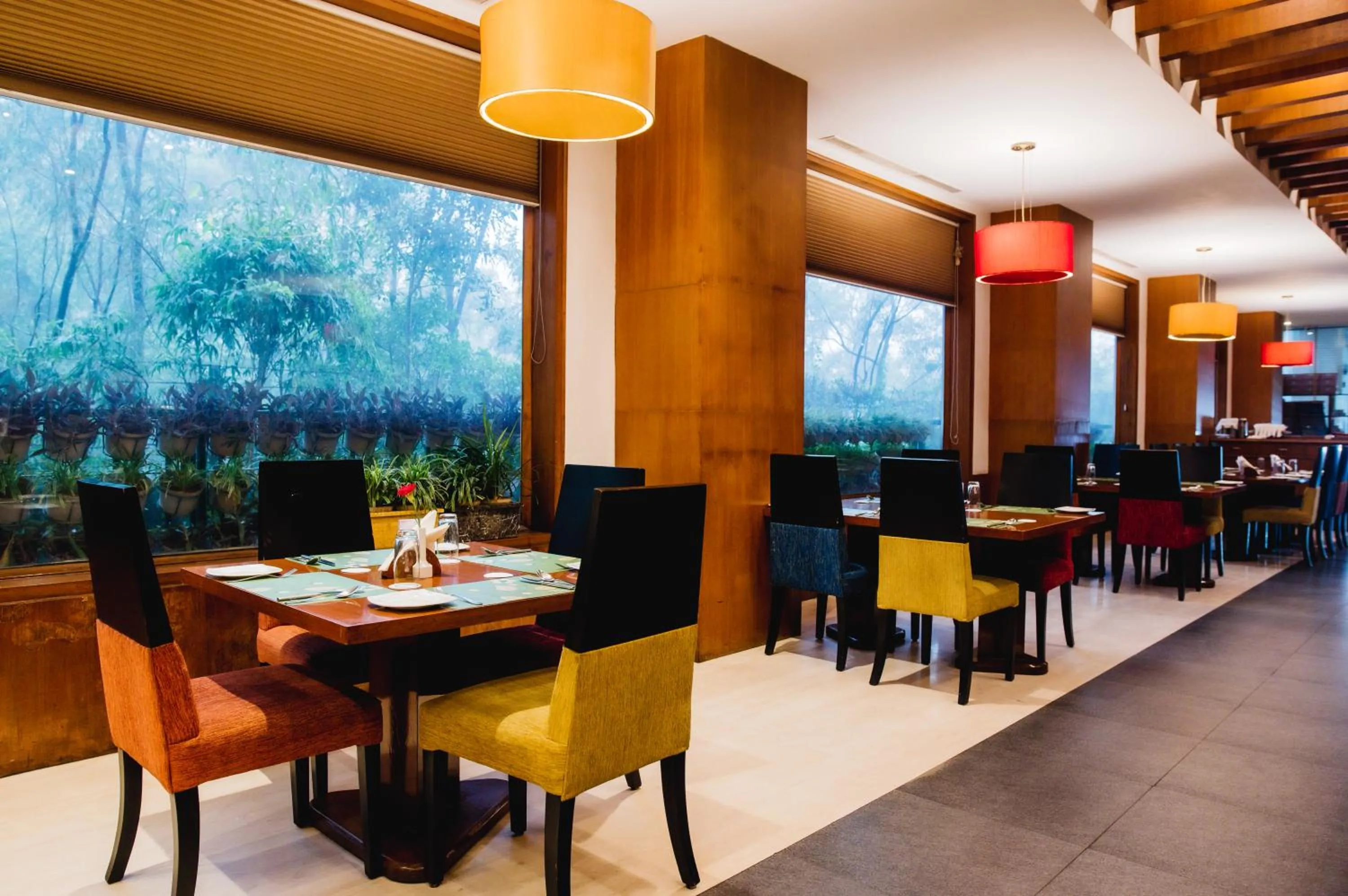 Restaurant/places to eat in The Alcor Hotel