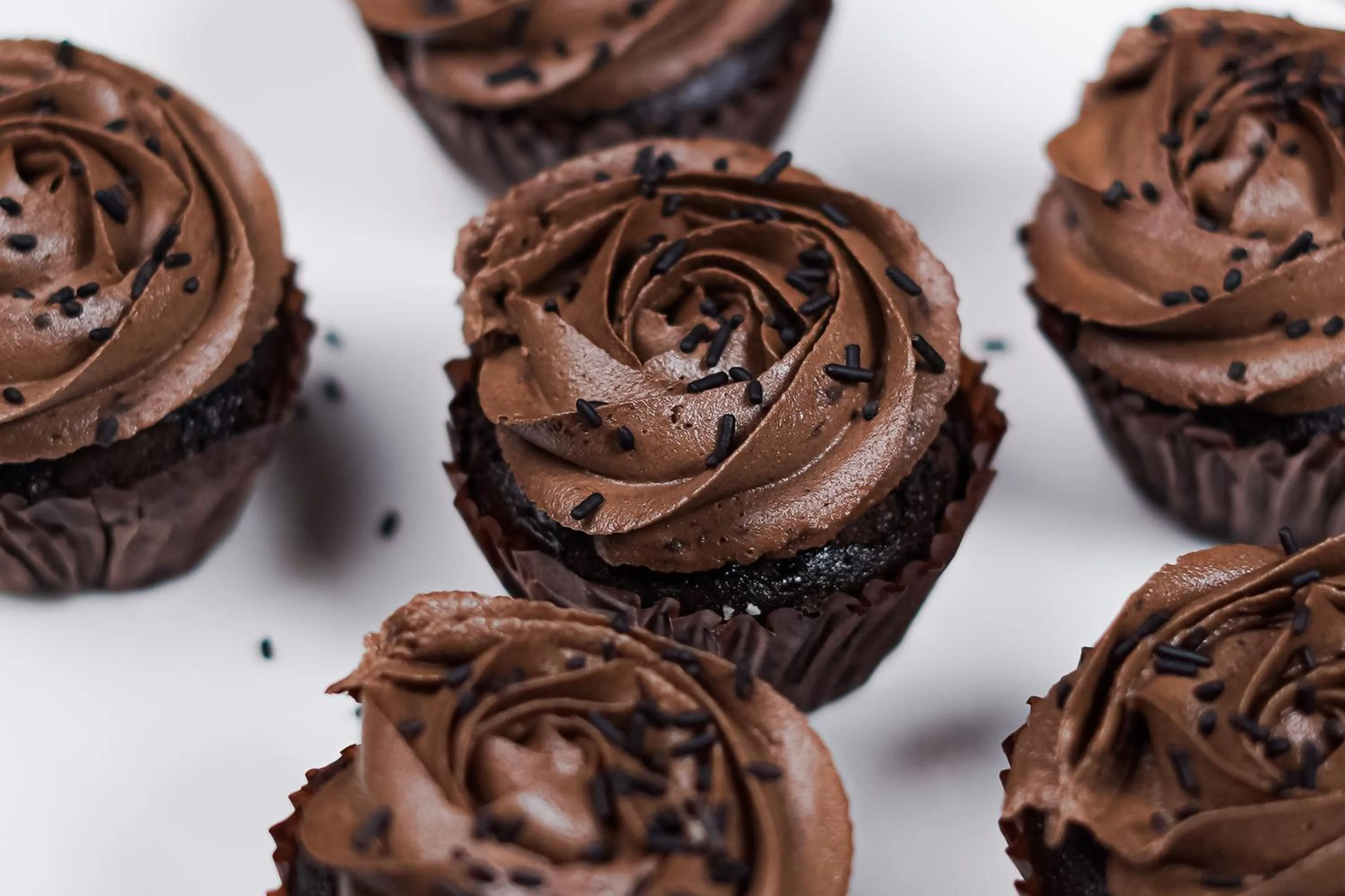 Food in The Alcor Hotel