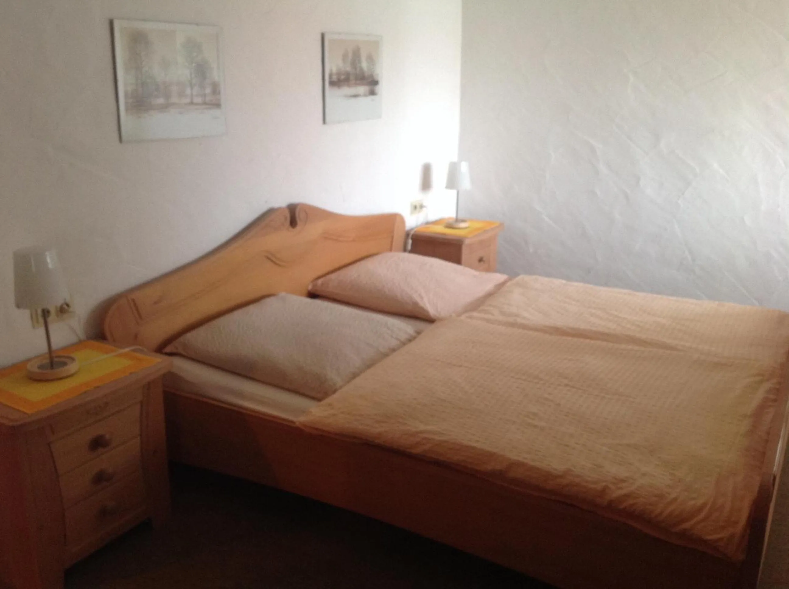 Double Room - single occupancy in Landgasthof zum Wiesengrund