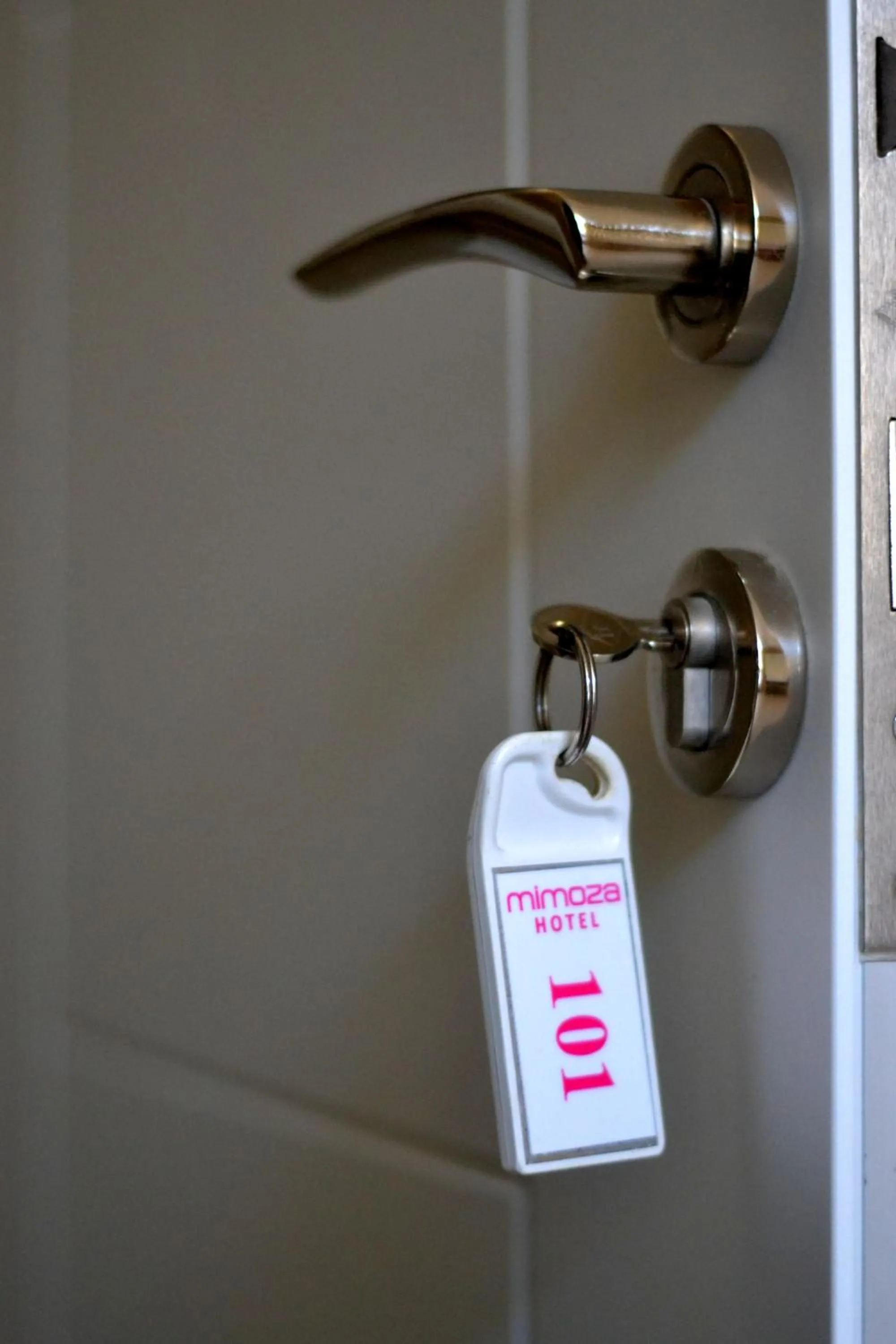 Decorative detail in Mimoza Hotel