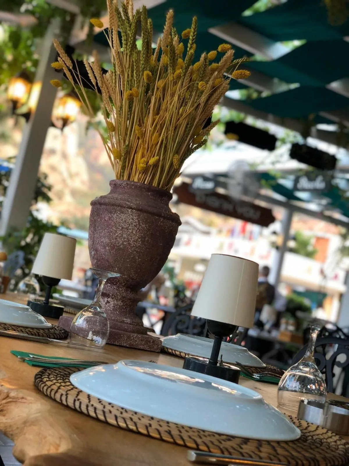 Food and drinks in Mimoza Hotel