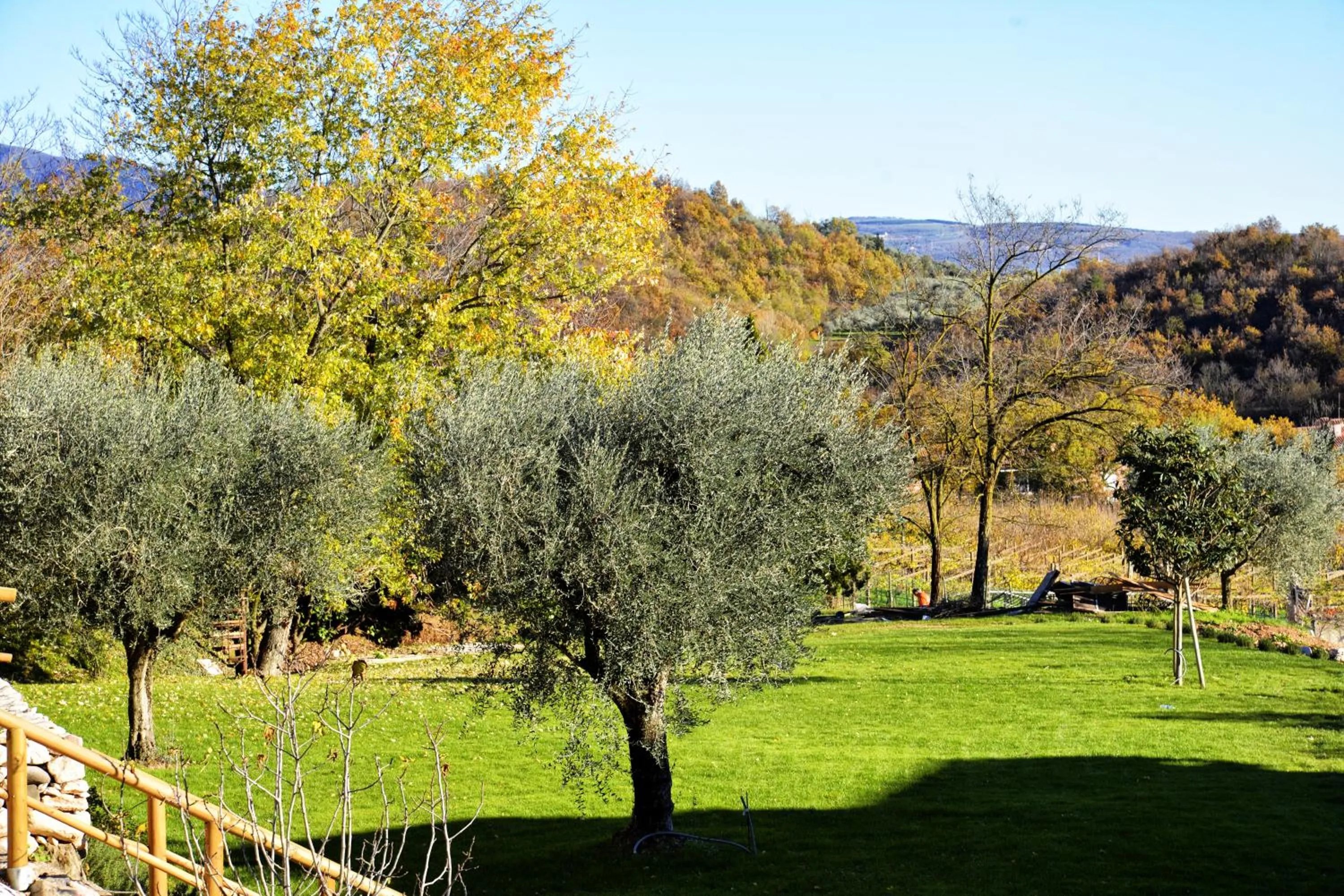 Garden in Relais Rossar Boutique Hotel Garda & Hills