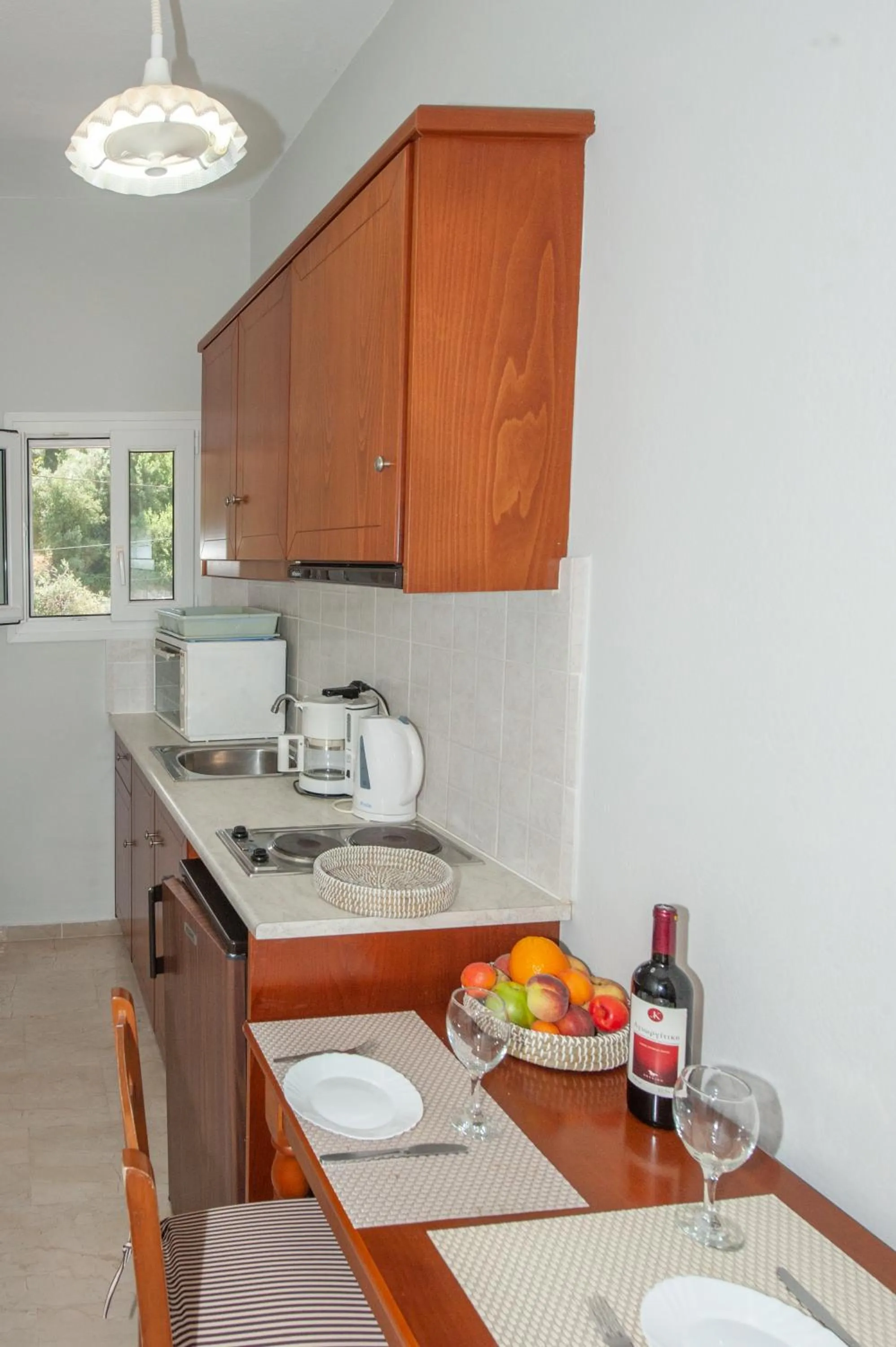 Kitchen or kitchenette in Vassilis Paradise Garden Aparthotel