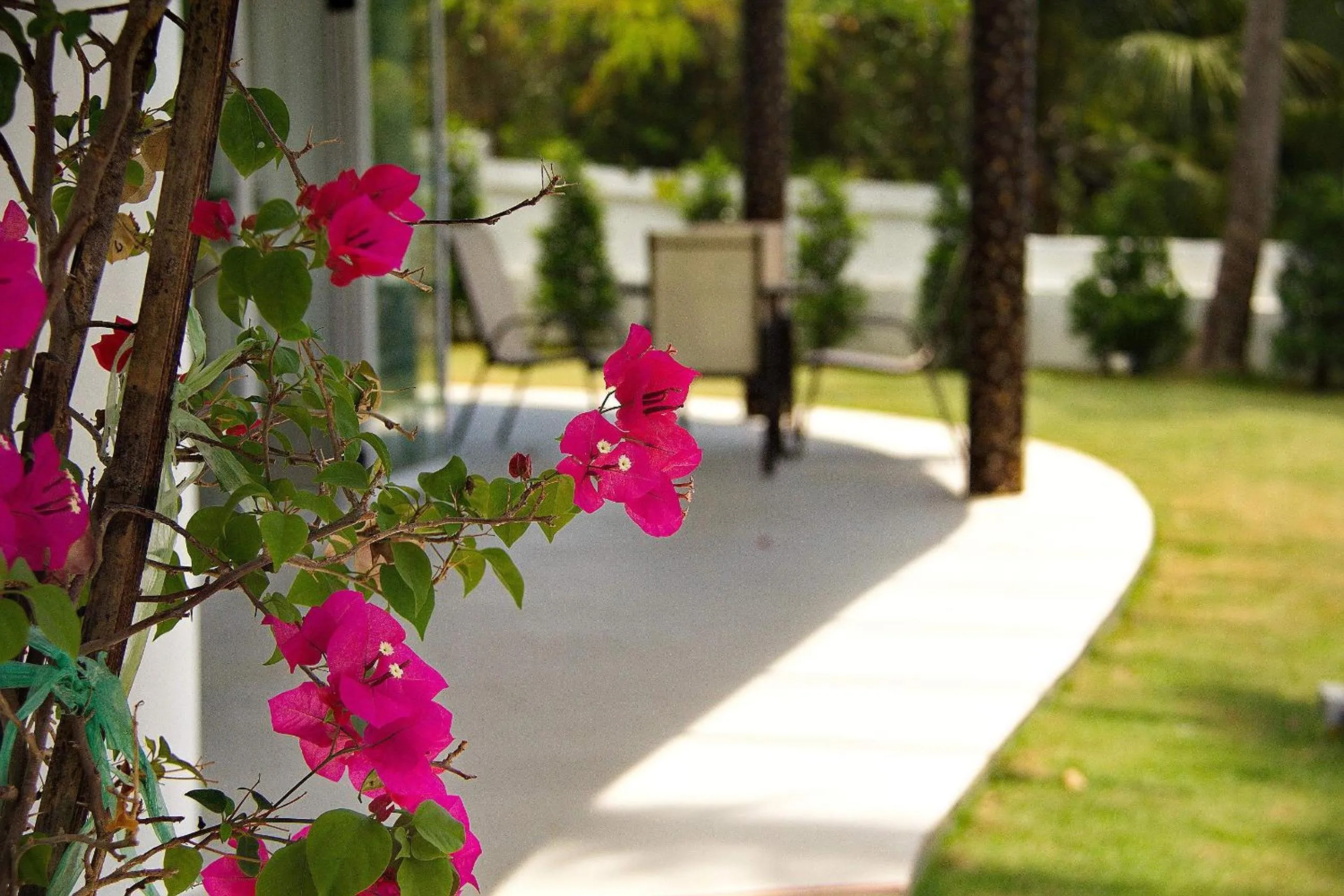 Garden in The Inspiration Residence
