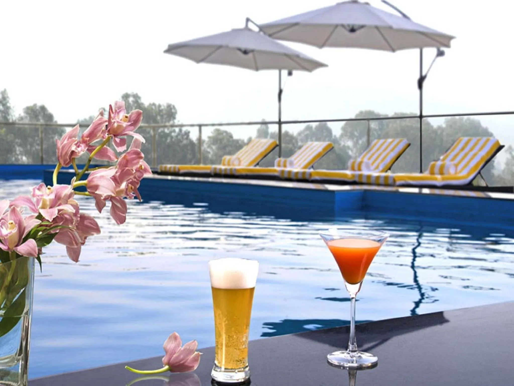 Swimming pool in Park Plaza Chandigarh Zirakpur