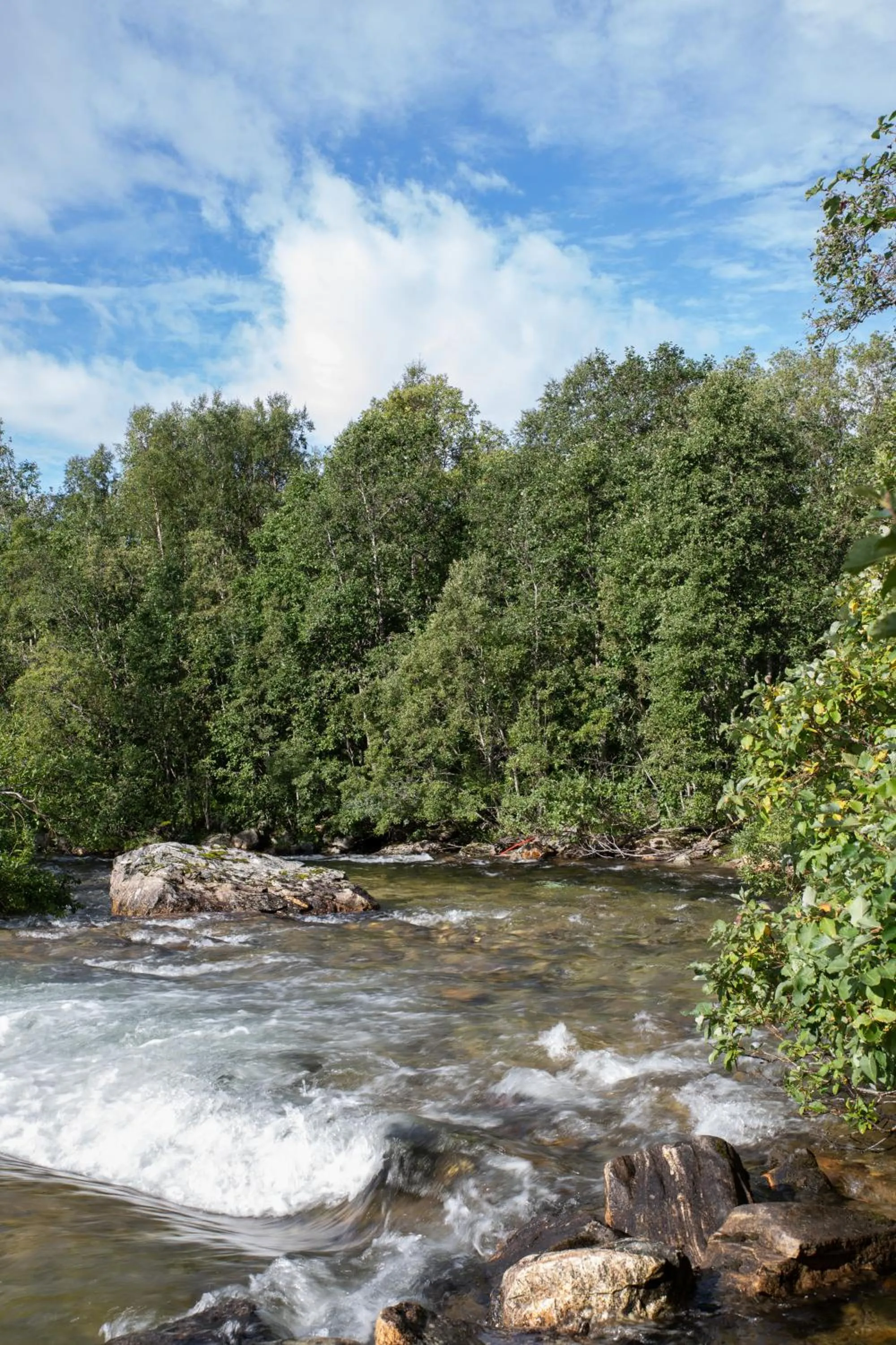 River view in Tromsø Lodge & Camping