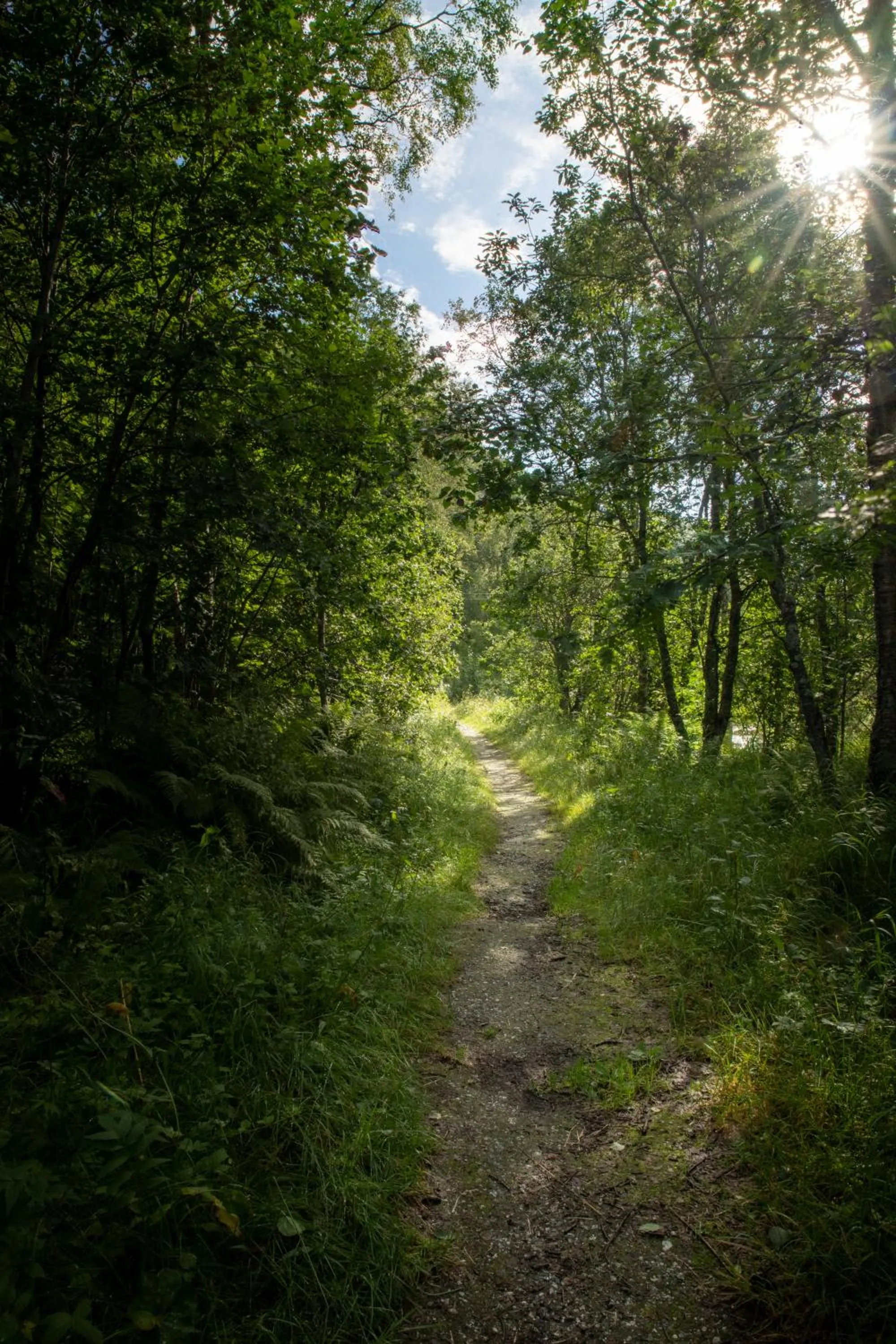 Hiking in Tromsø Lodge & Camping