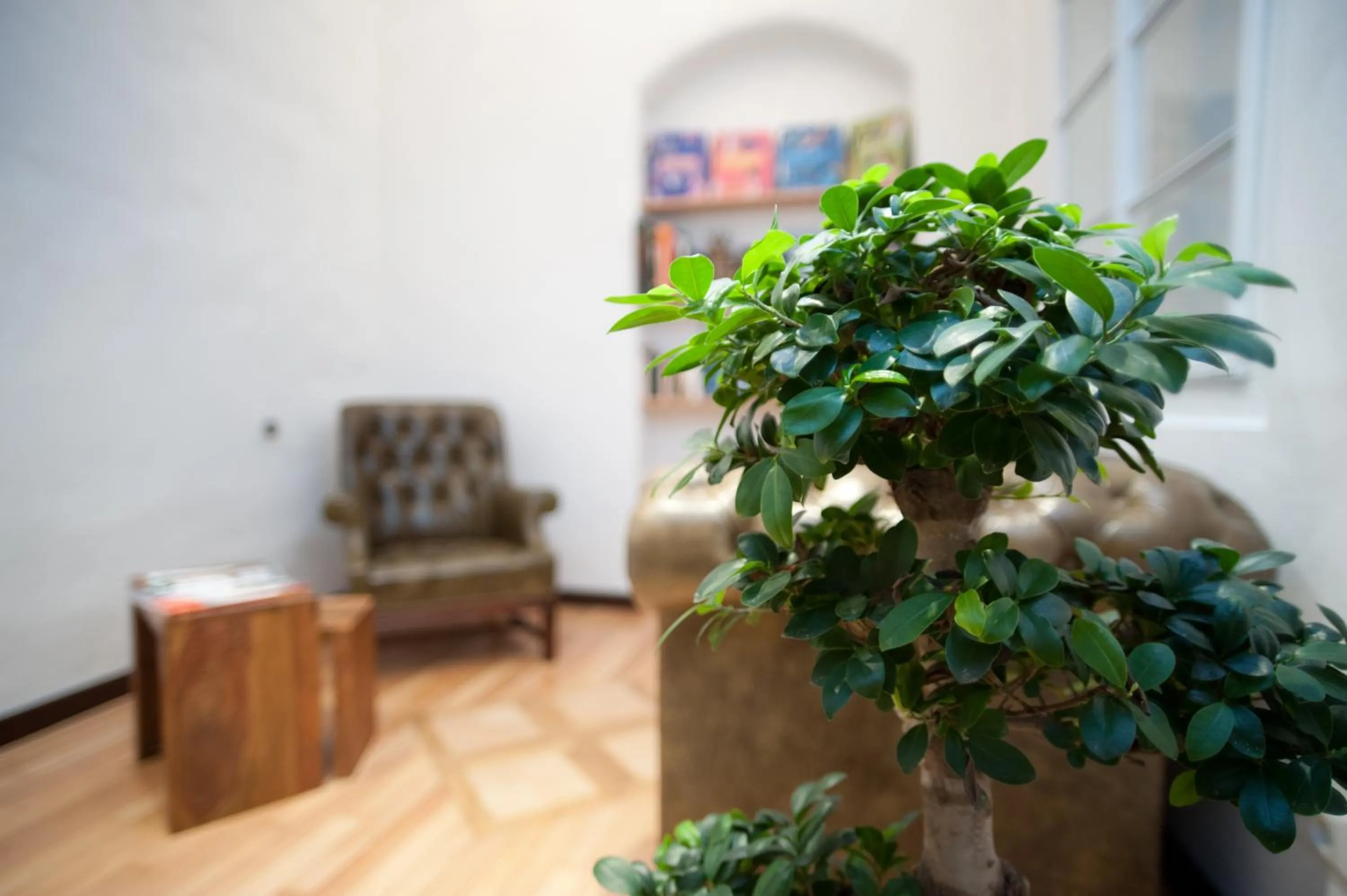 Library in Hotel Engel - Lindauer Bier und Weinstube