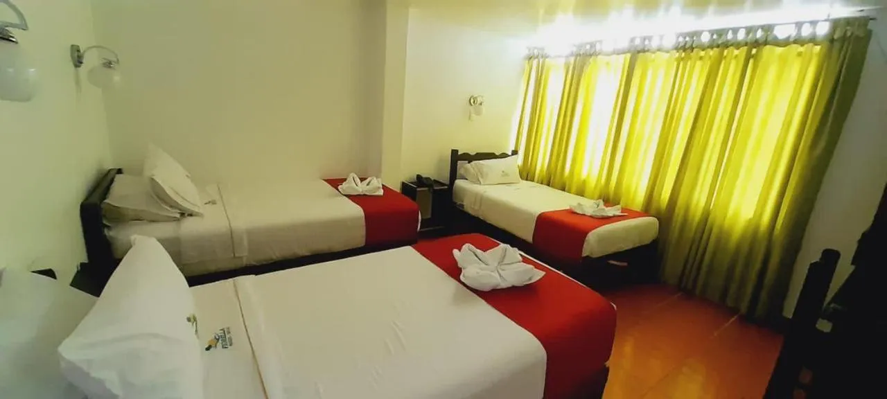 Photo of the whole room in HOTEL FIORELLA PARACAS
