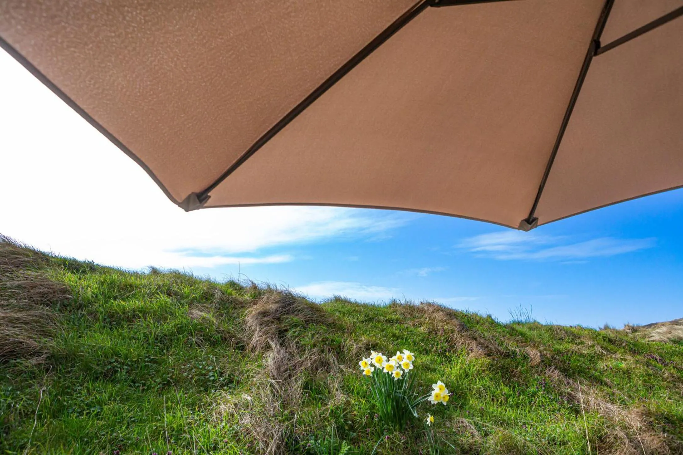 Spring in Strandhotel Camperduin