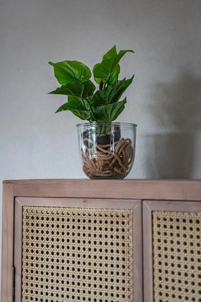 Decorative detail in Strandhotel Camperduin