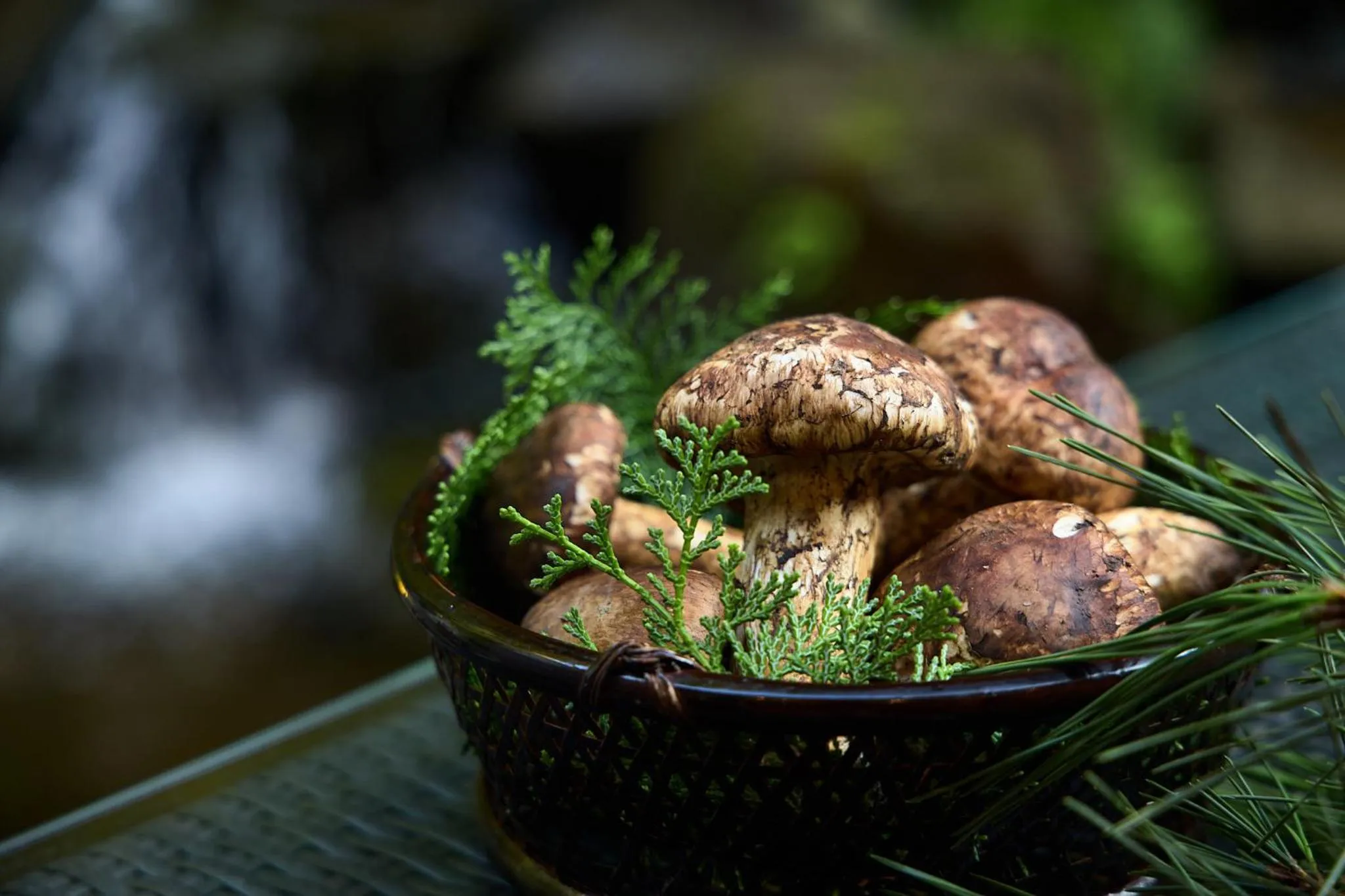 Day in Bessho Onsen Midoriya