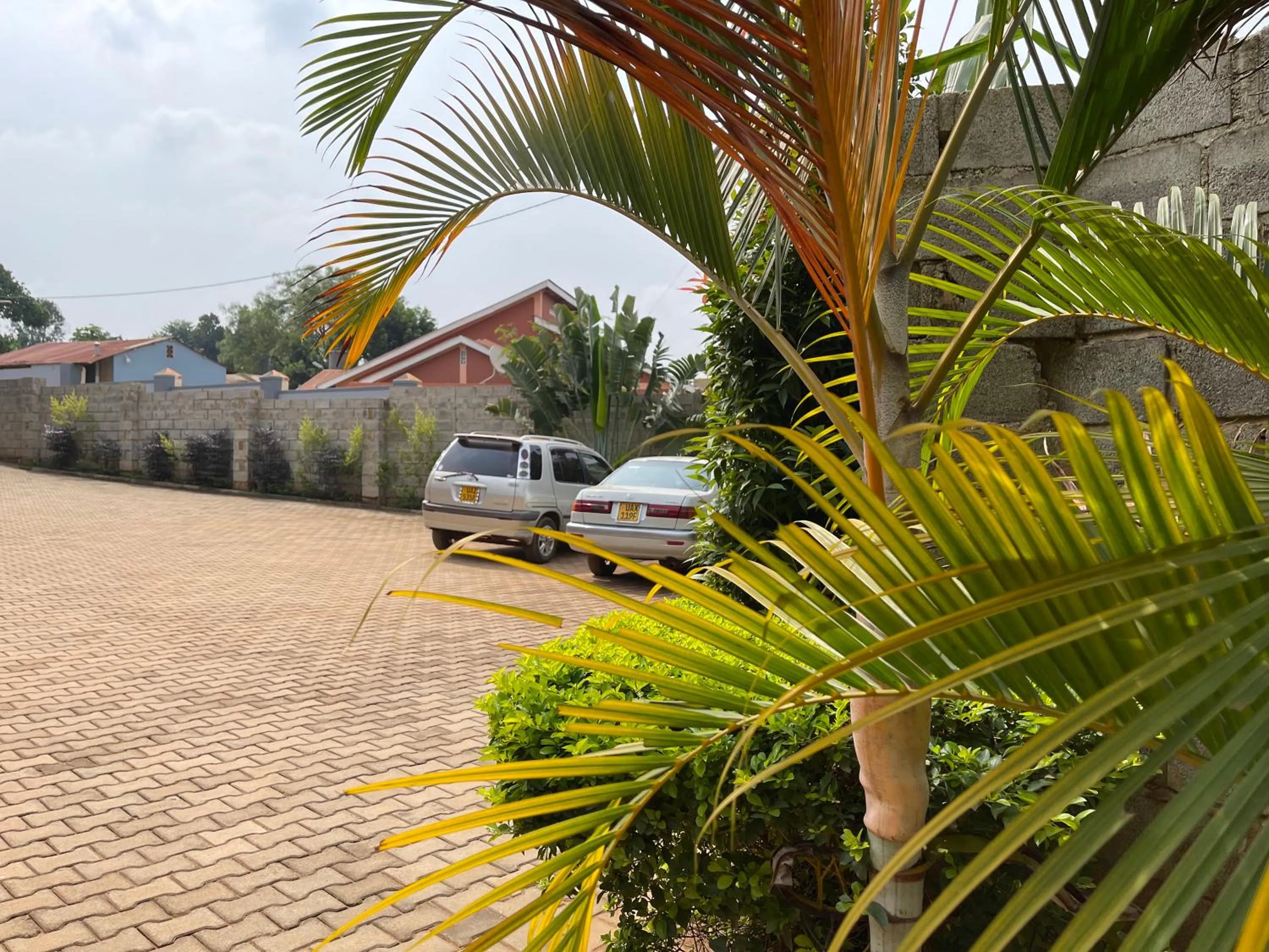 Day in Ashleys Hotel